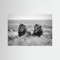 Two kings by Nicolás Merino Fine Art Paper 