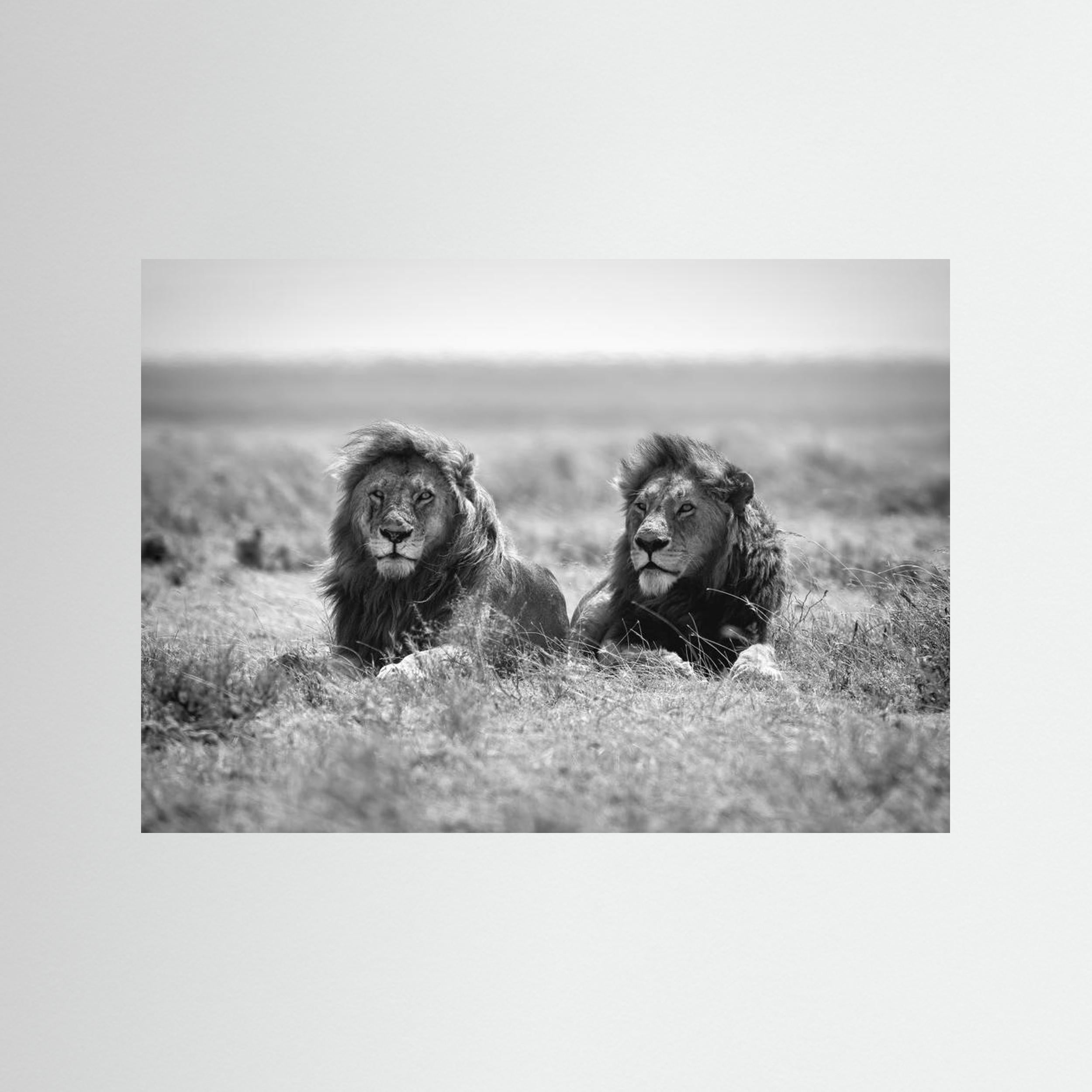 Two kings by Nicolás Merino Fine Art Paper 