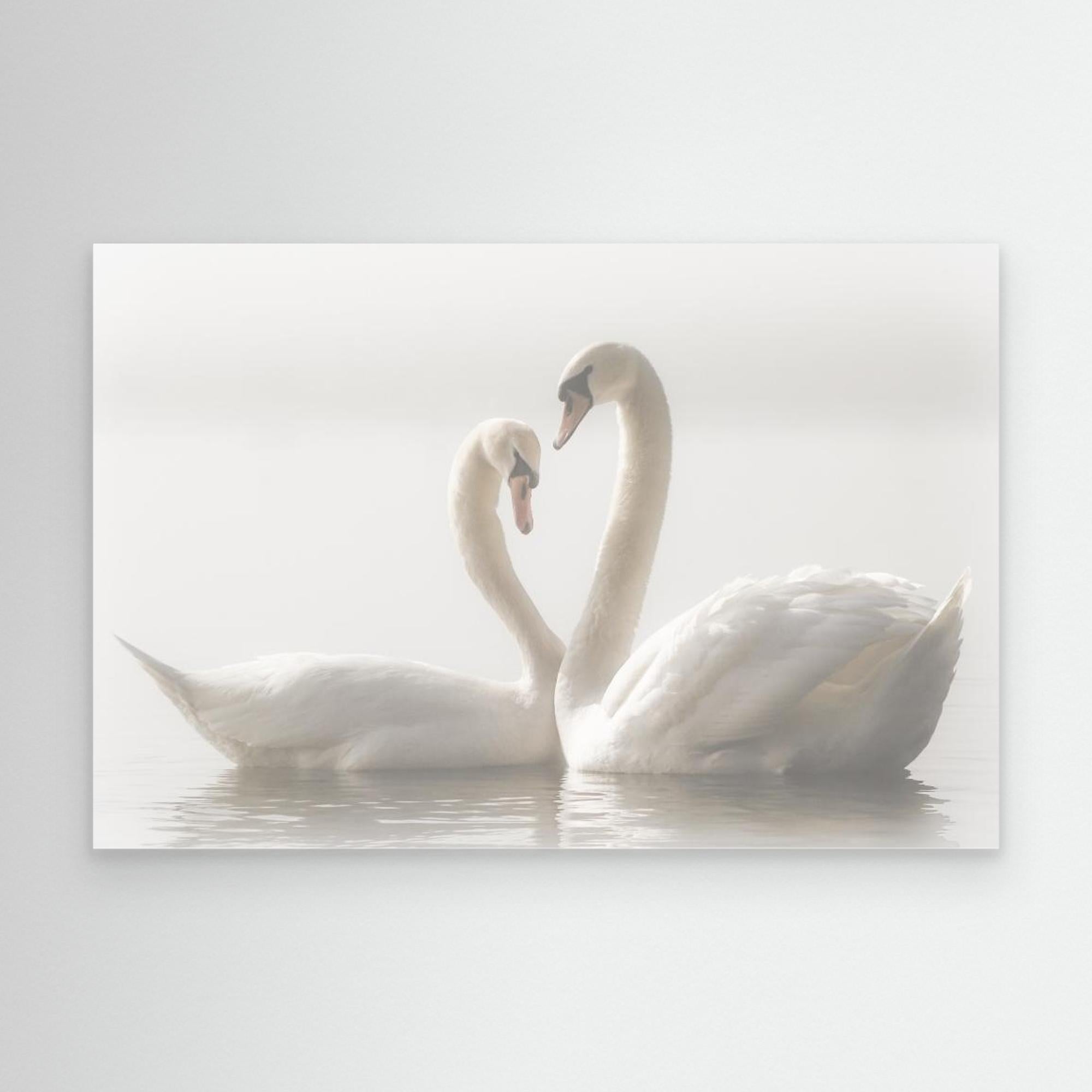 Forever by Monika Schwager Canvas