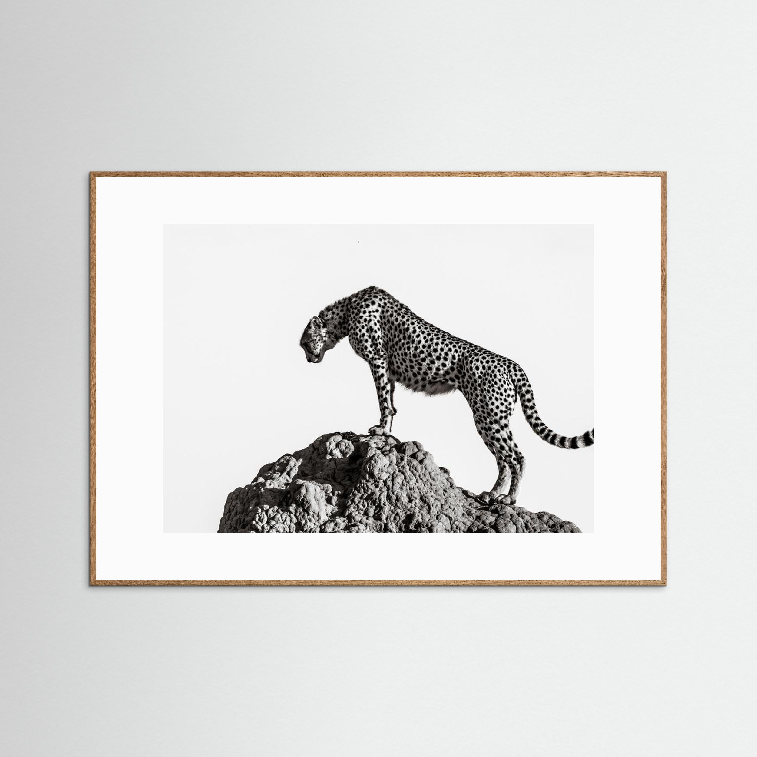 the hunter by Ali Fine Art Paper 