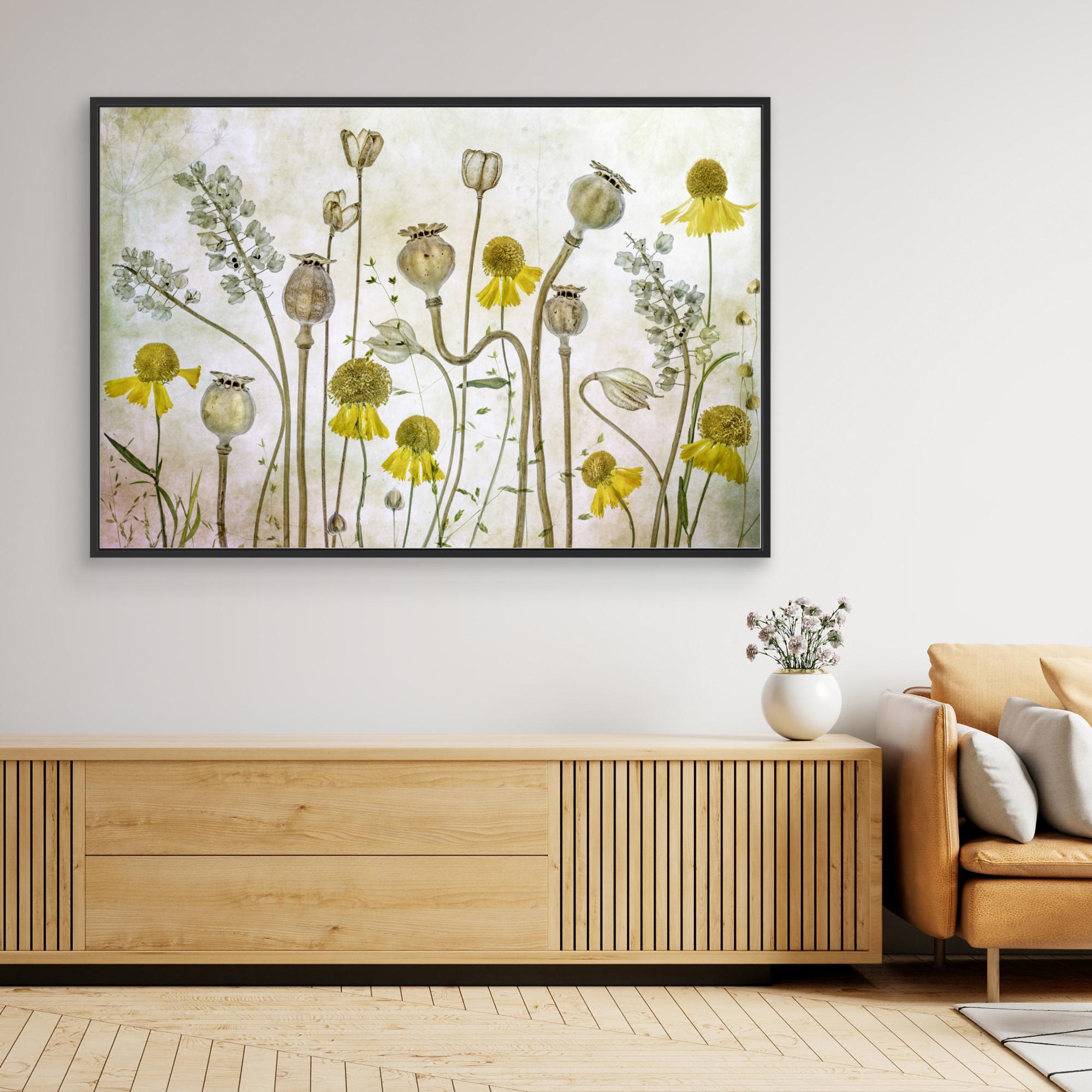 Poppies and Helenium by Mandy Disher