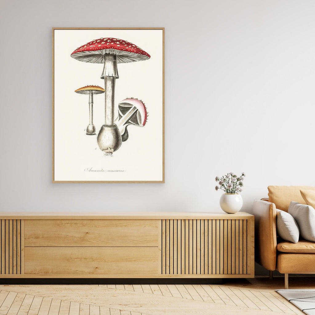 Amanita Muscaria Illustration. Medical Botany 1836 Canvas