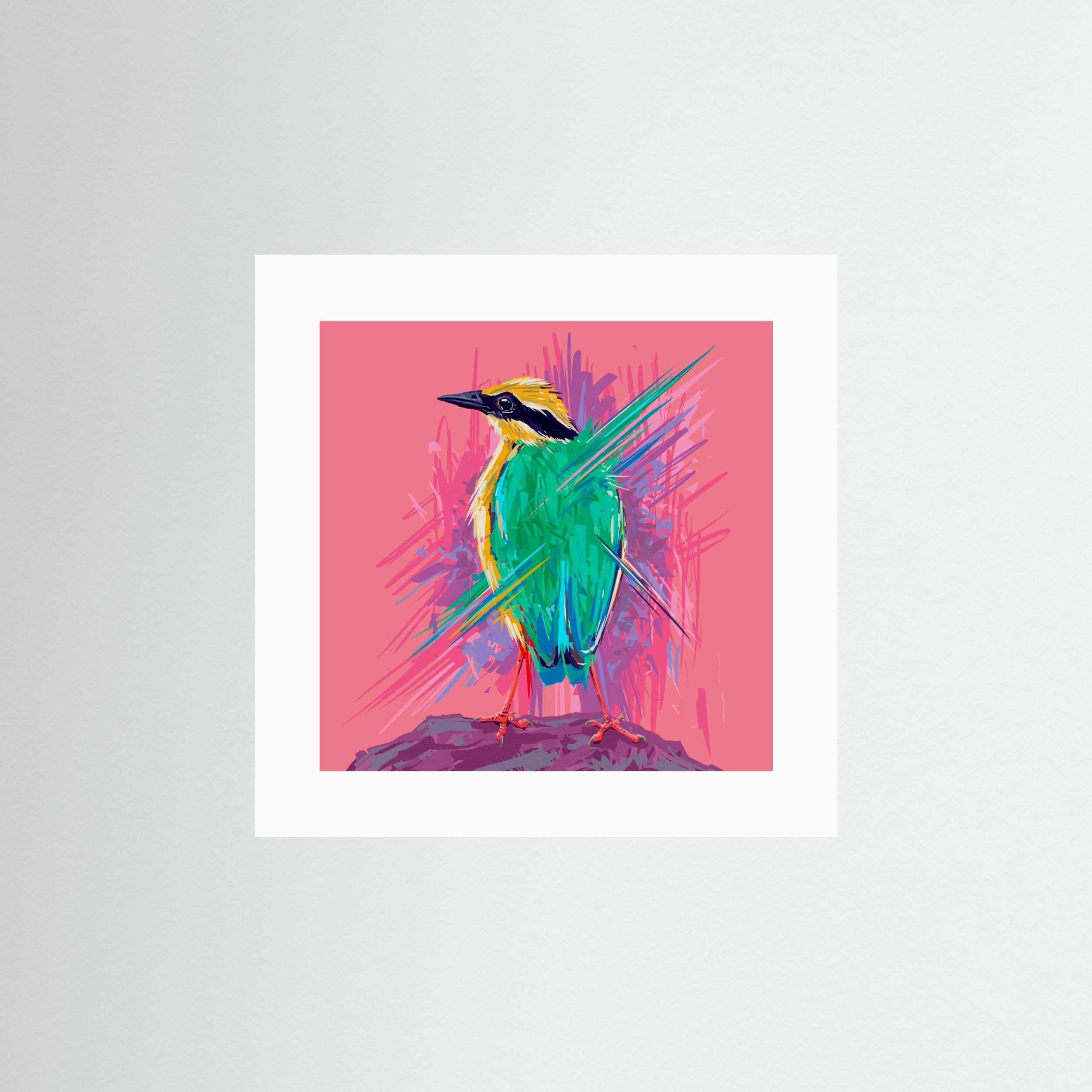 Bird Series   Indian Pitta by Rohan Dahotre Fine Art Paper