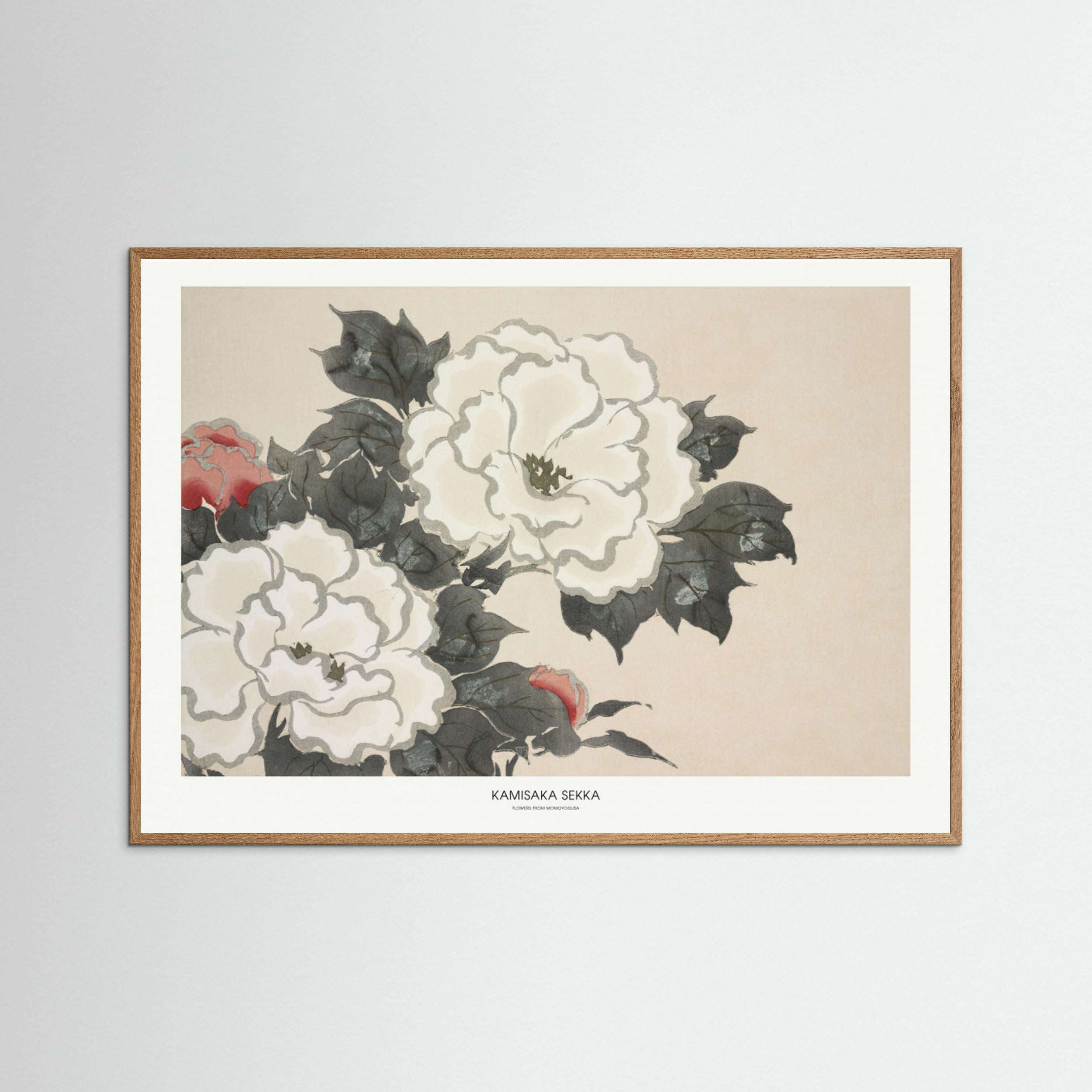 Flowers From Momoyogusa Fine Art Paper