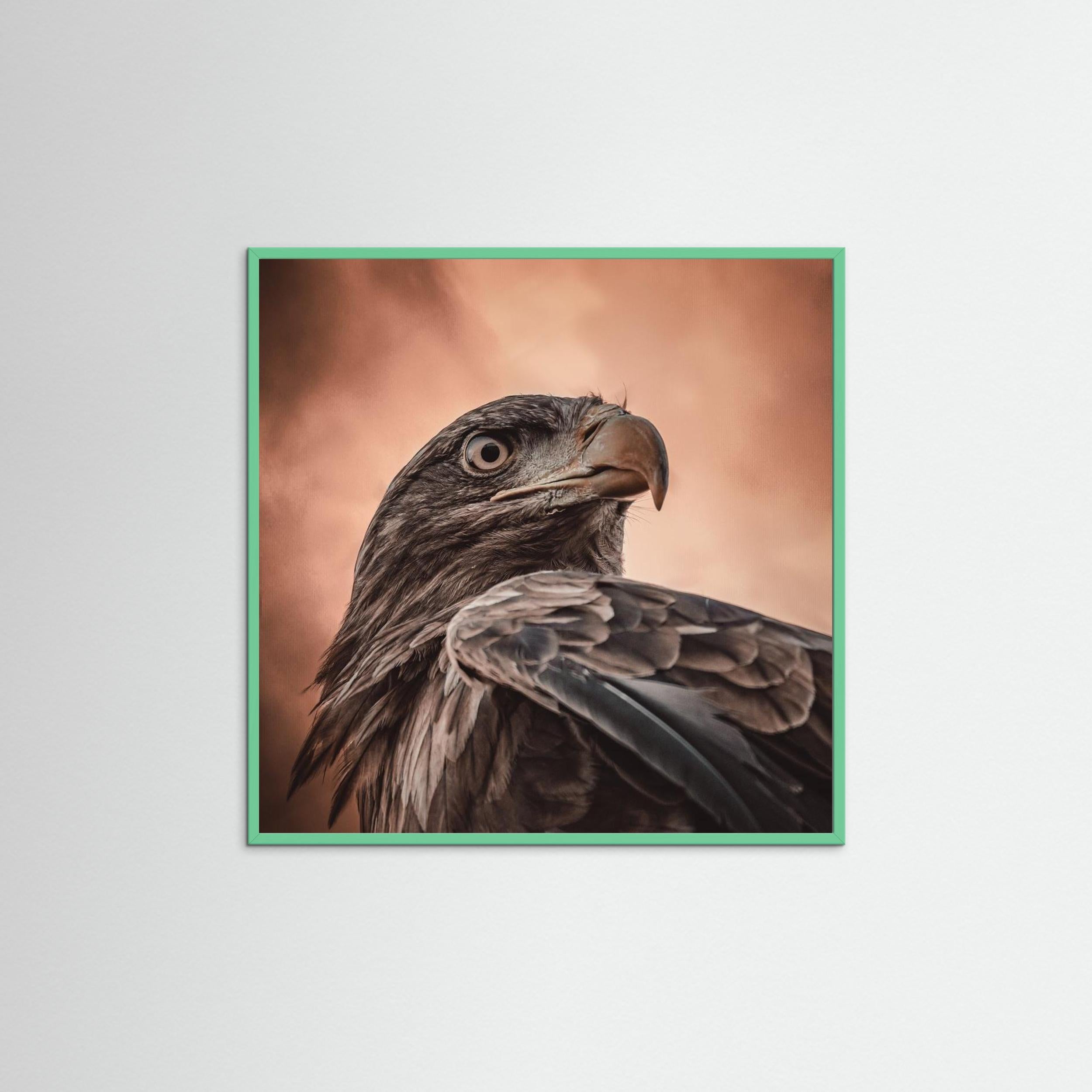 And his eyes saw everything.... by Natascha Worseling Fine Art Paper 