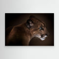 Puma by Doris Reindl Canvas