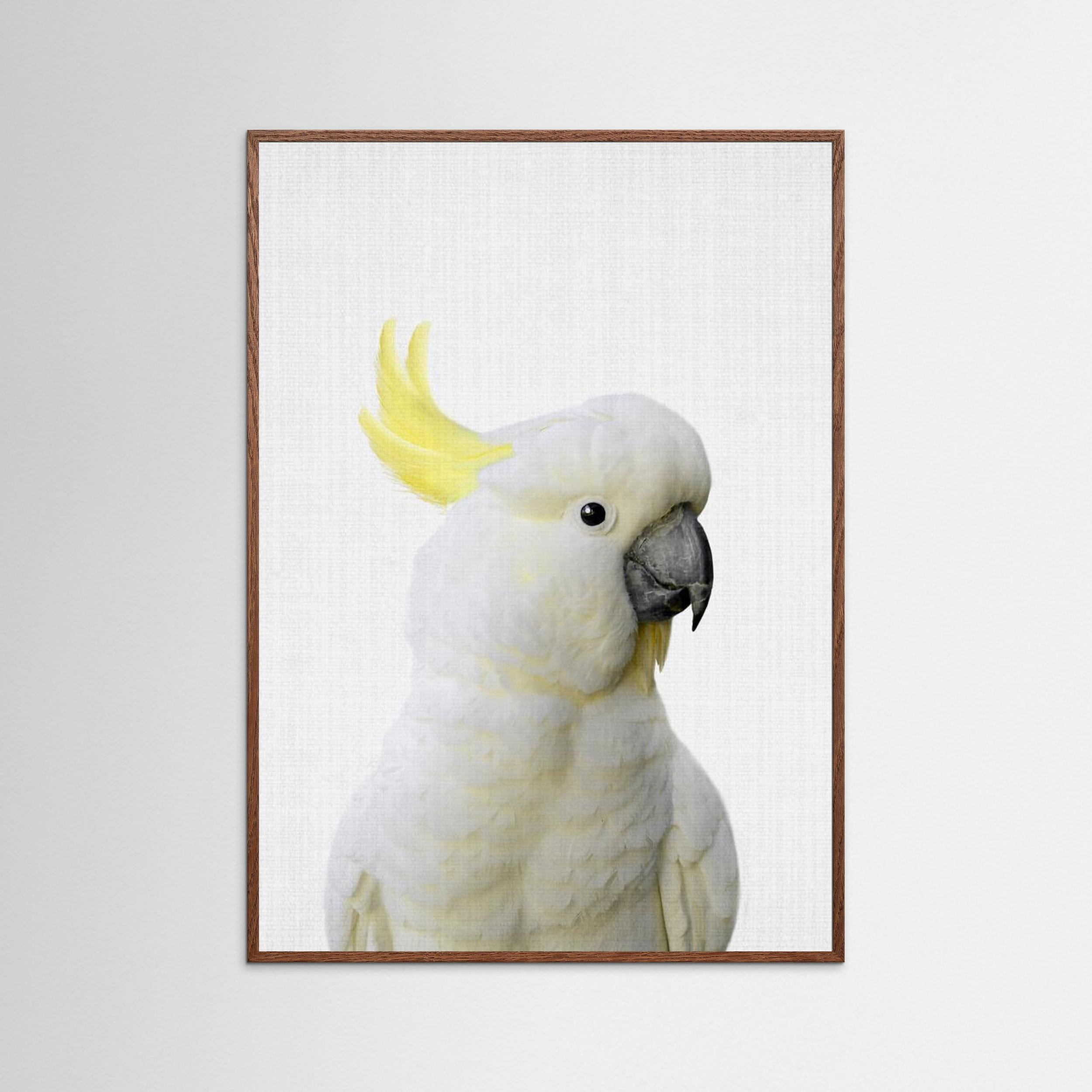 Peekaboo Cockatoo by Lila &Amp; Lola Fine Art Paper