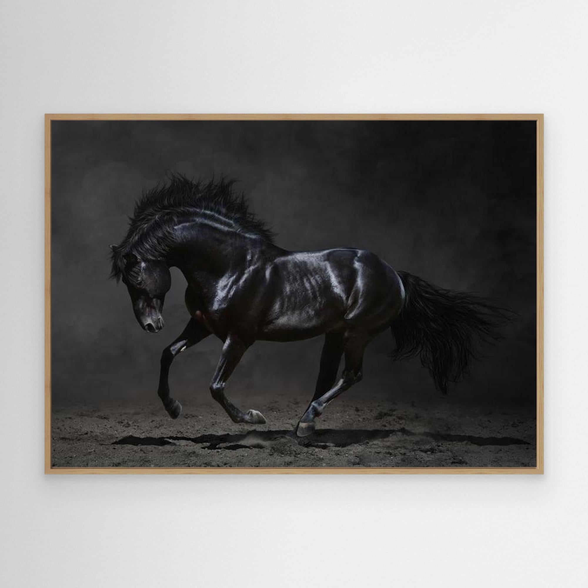 Stunner By Natty Jaxxx The Frame Gain Canvas