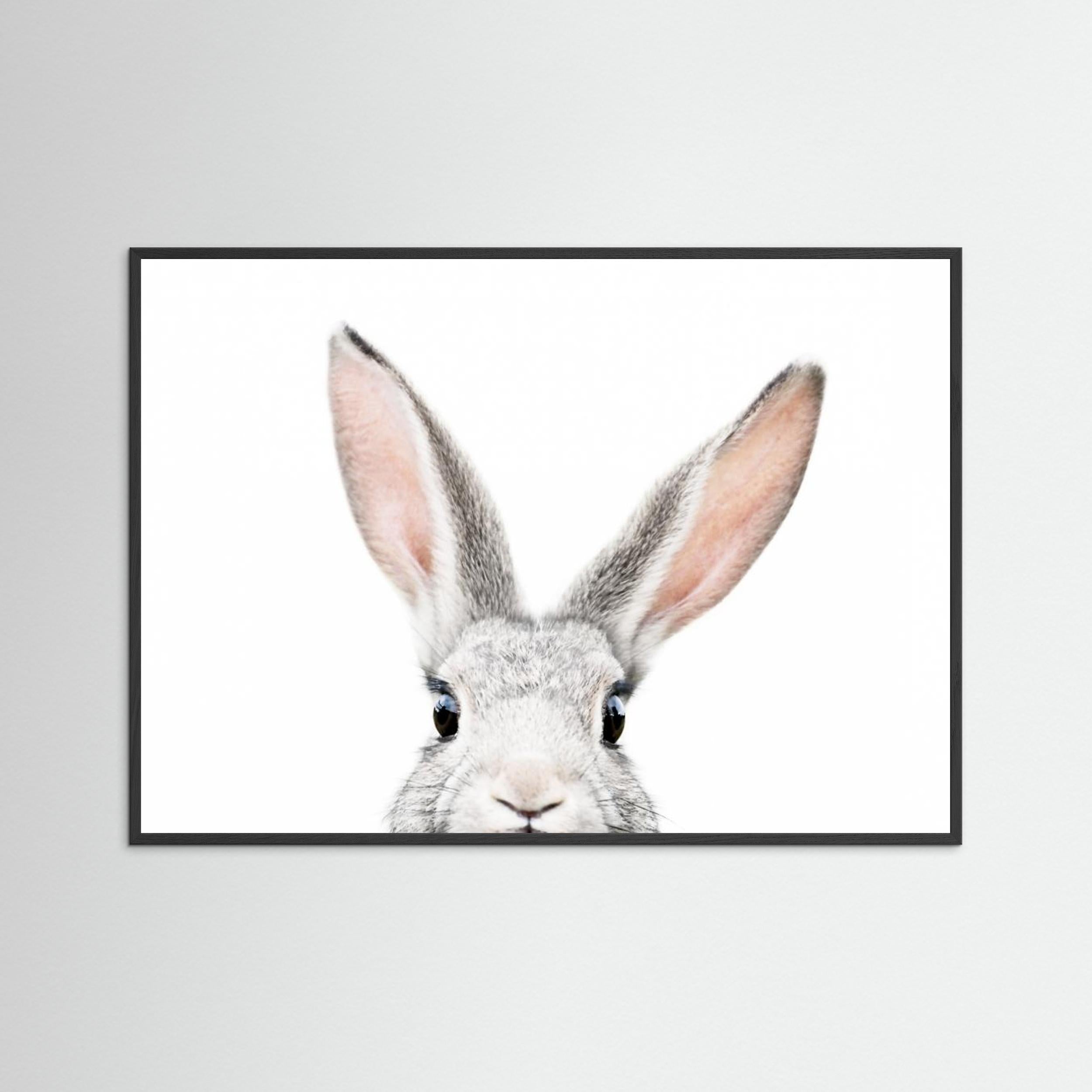 Peeking Bunny by Kathrin Pienaar Fine Art Paper 