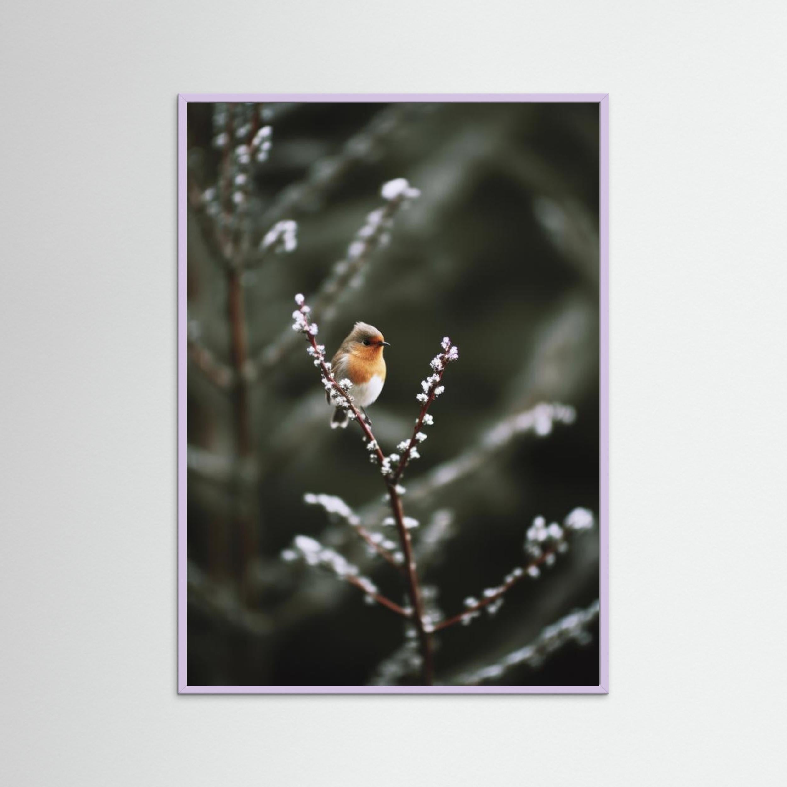 Cute Robin by Treechild. Fine Art Paper