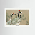 Cranes From Momoyogusa by Pictufy Fine Art Fine Art Paper