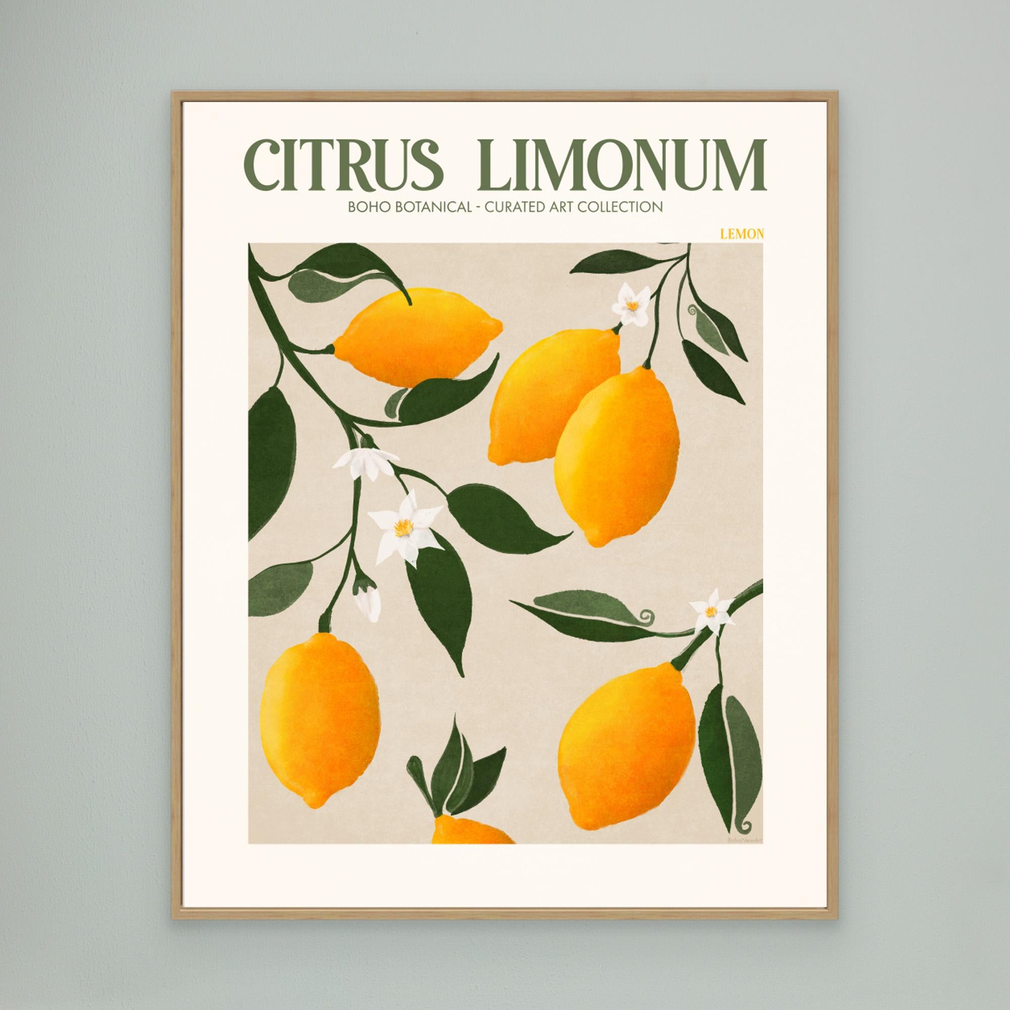 Citrus Limonum - Lemon by Emel Tunaboylu