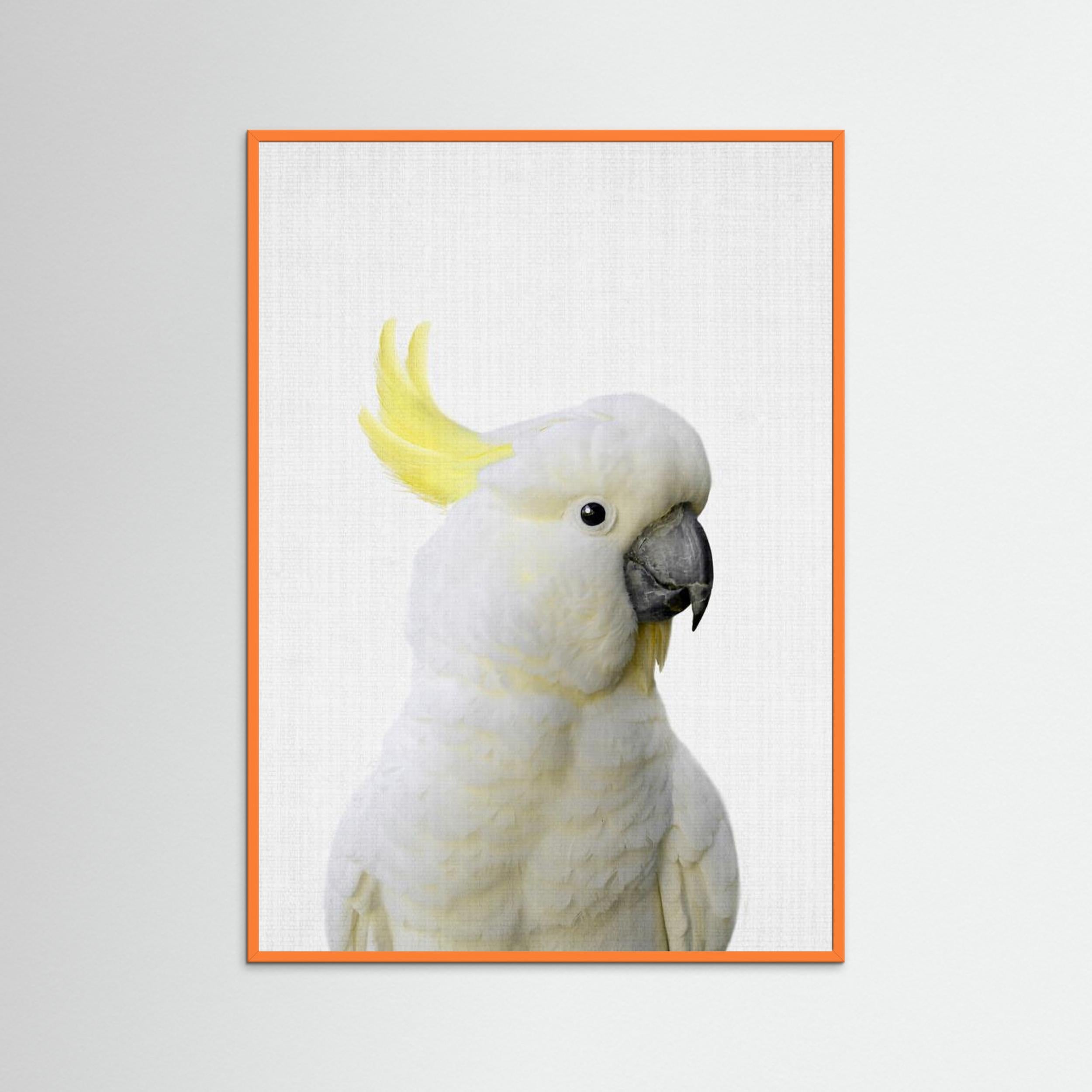 Peekaboo Cockatoo by Lila &Amp; Lola