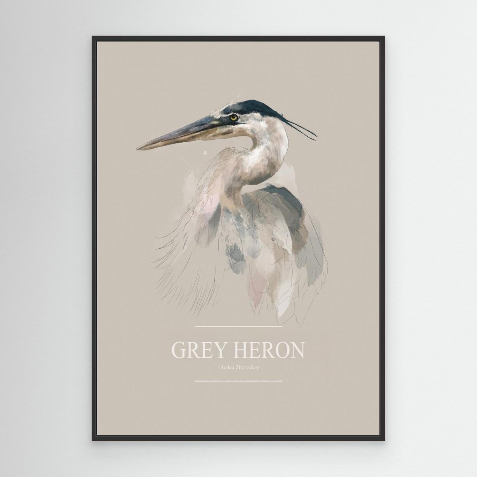 Grey Heron by Gabriella Roberg Canvas