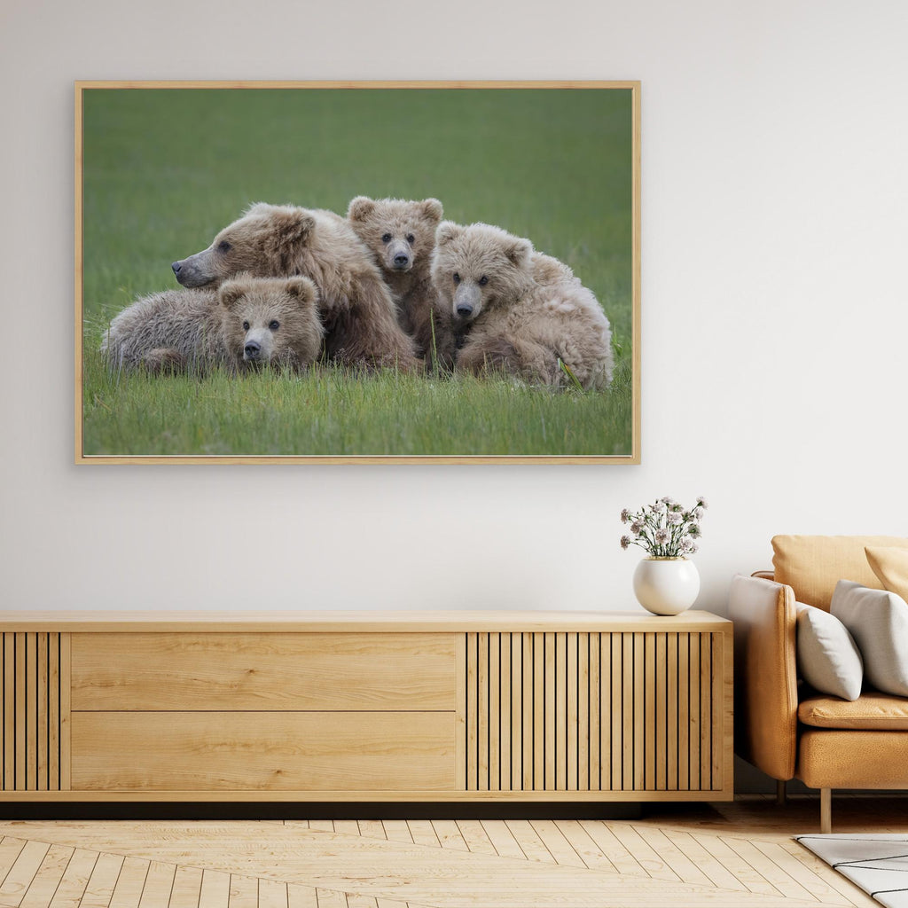 Bear Huddle by Renee Doyle Canvas