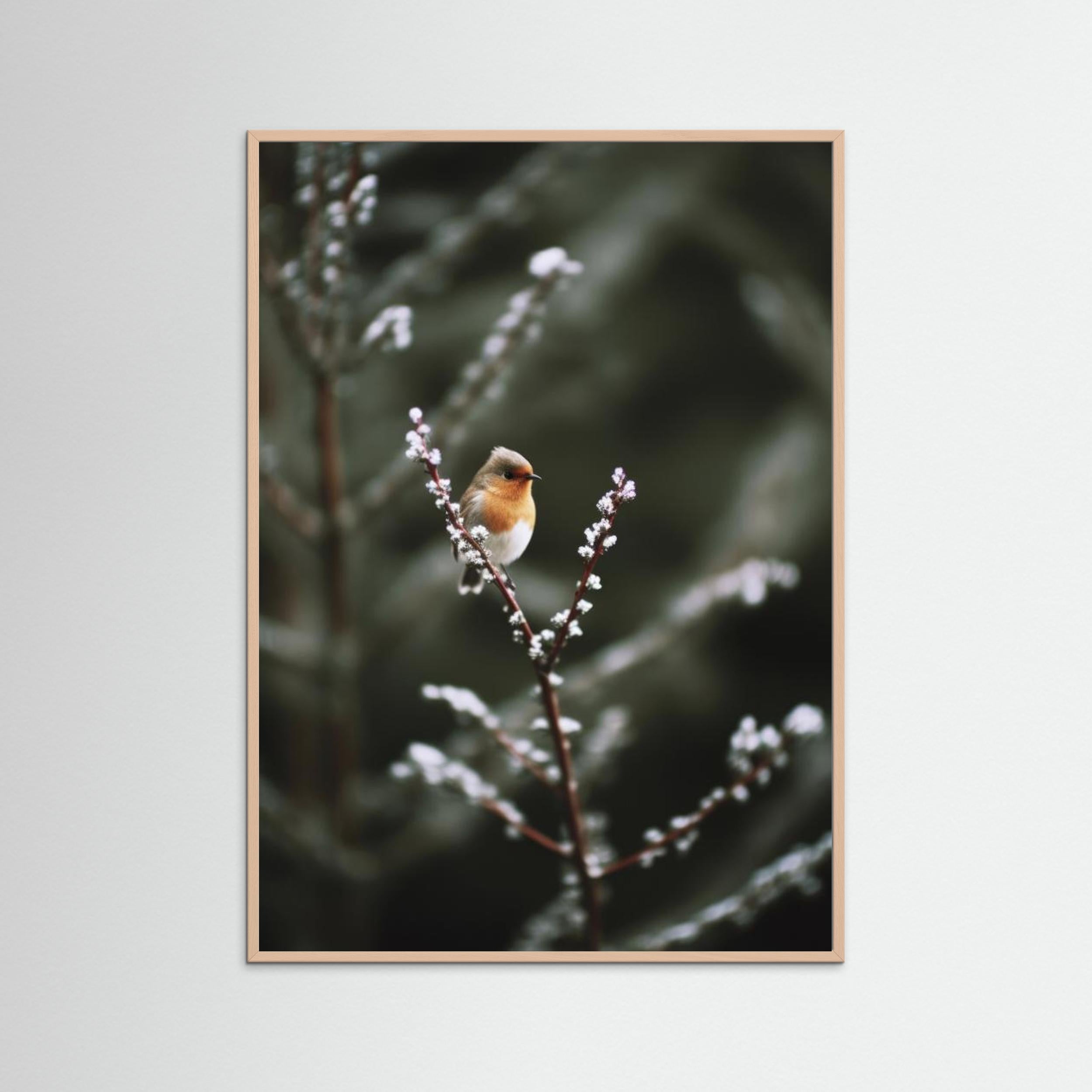 Cute Robin by Treechild. Fine Art Paper