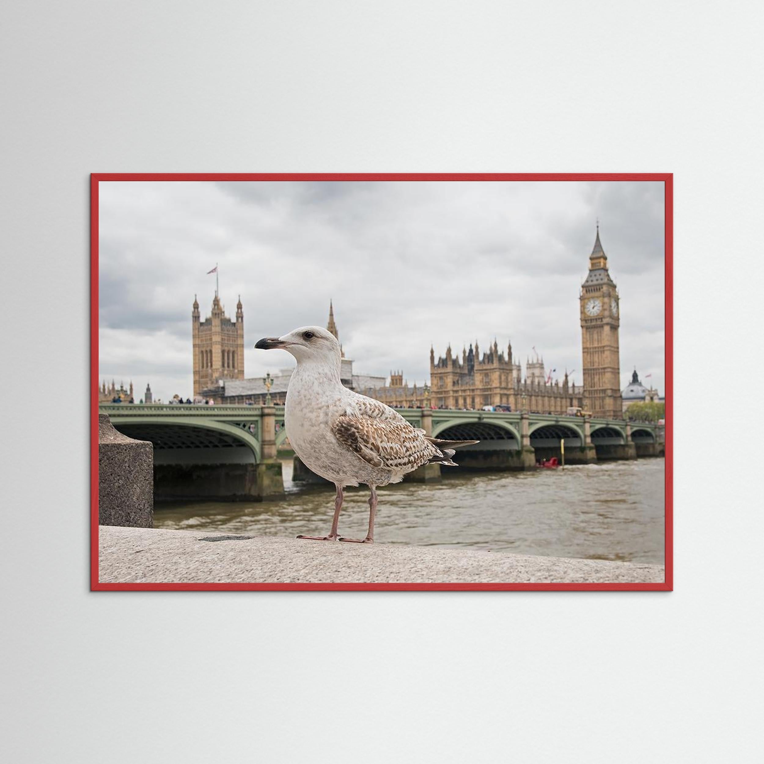 The Guardian by Marco Pozzi Fine Art Paper