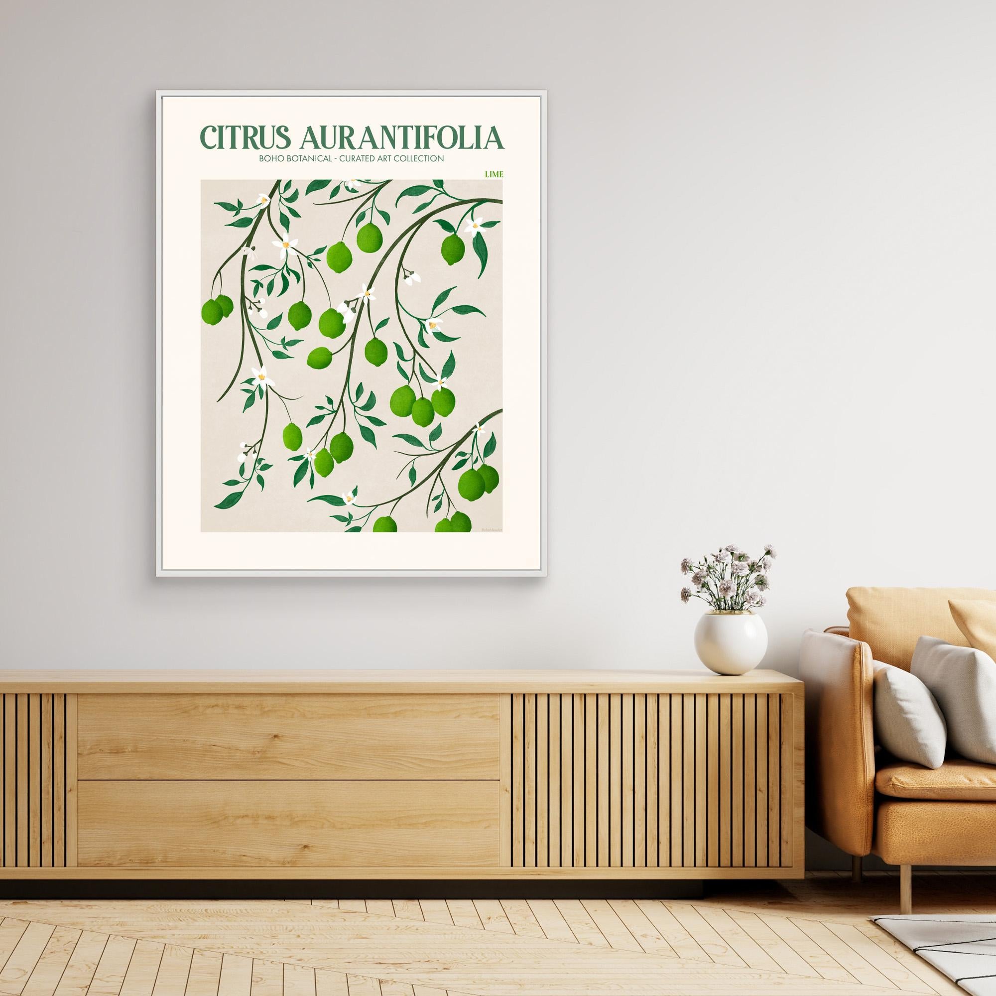 Citrus Aurantifolia - Lime by Emel Tunaboylucan Canvas