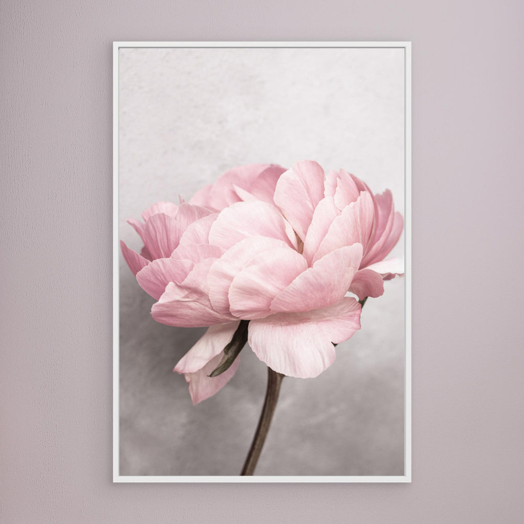 Peony by Kathrin Pienaar