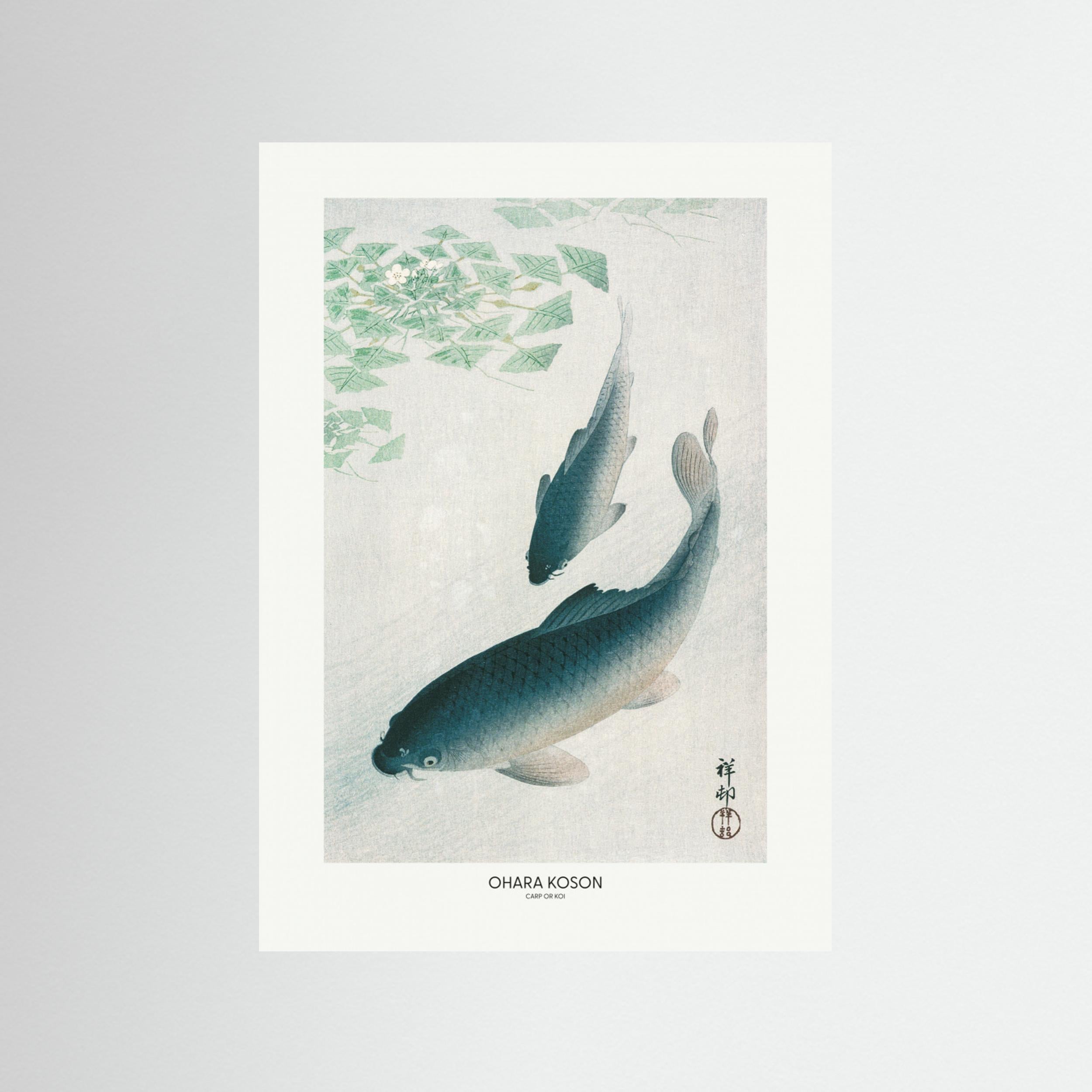 Carp Or Koi Fine Art Paper 