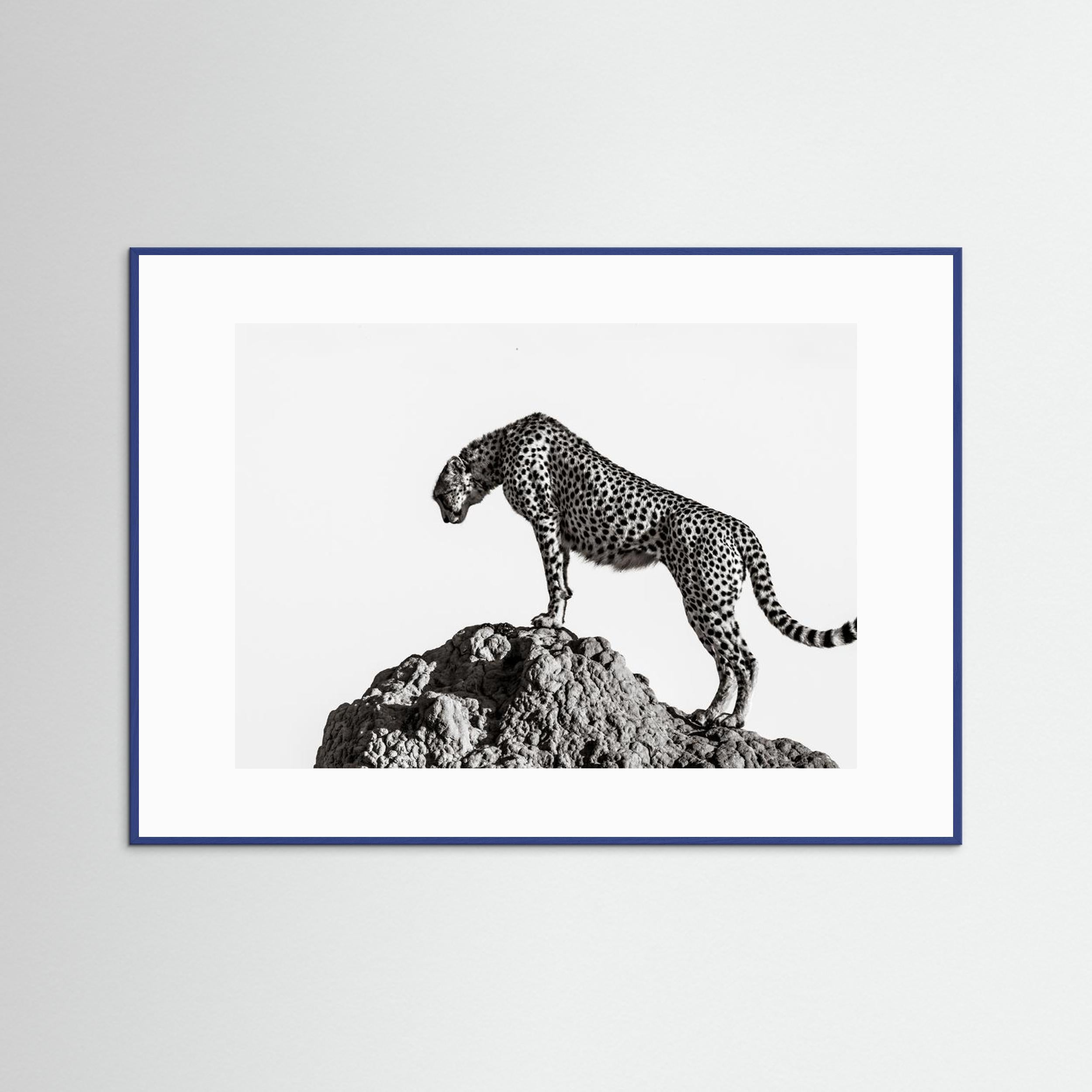 the hunter by Ali Fine Art Paper 