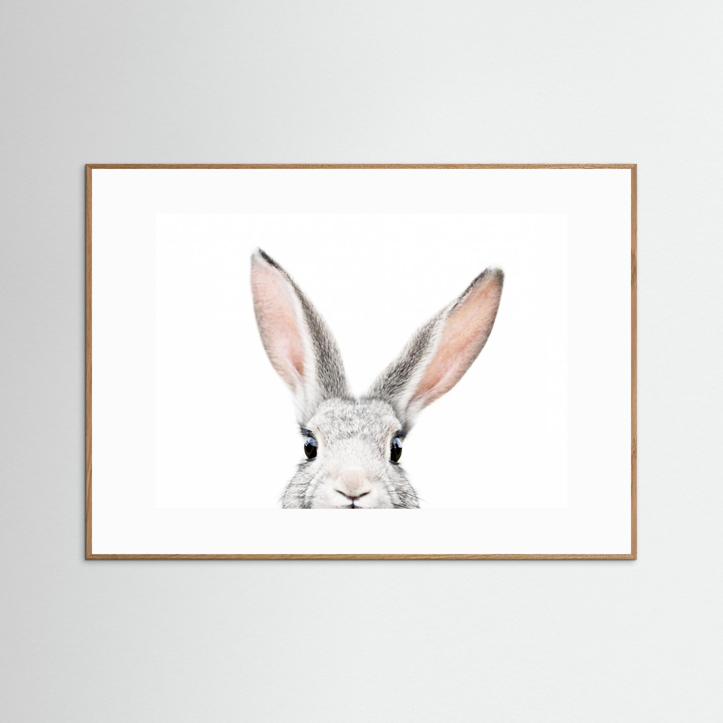 Peeking Bunny by Kathrin Pienaar Fine Art Paper 