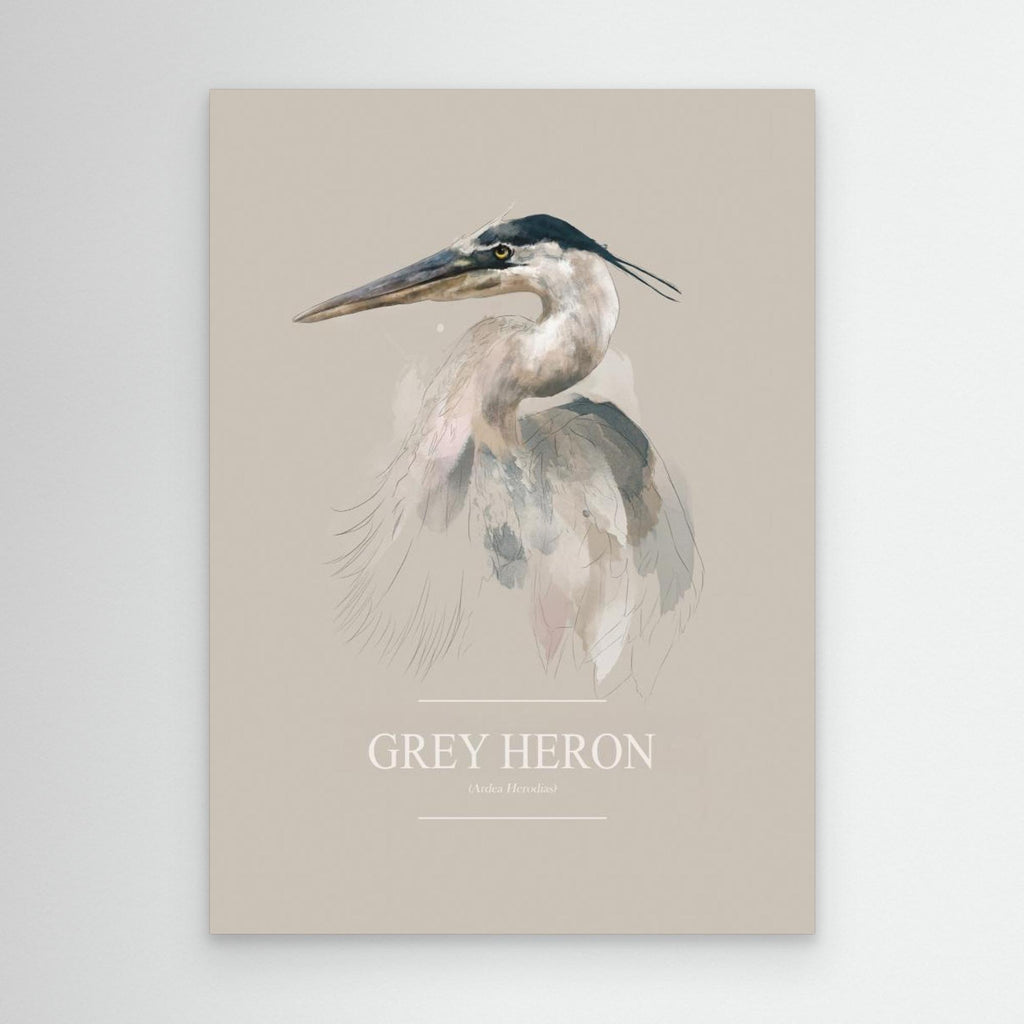 Grey Heron by Gabriella Roberg Canvas
