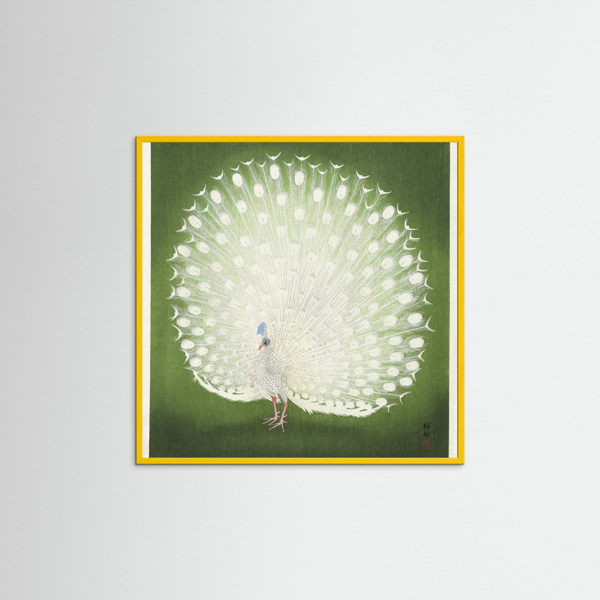 Peacock Fine Art Paper 