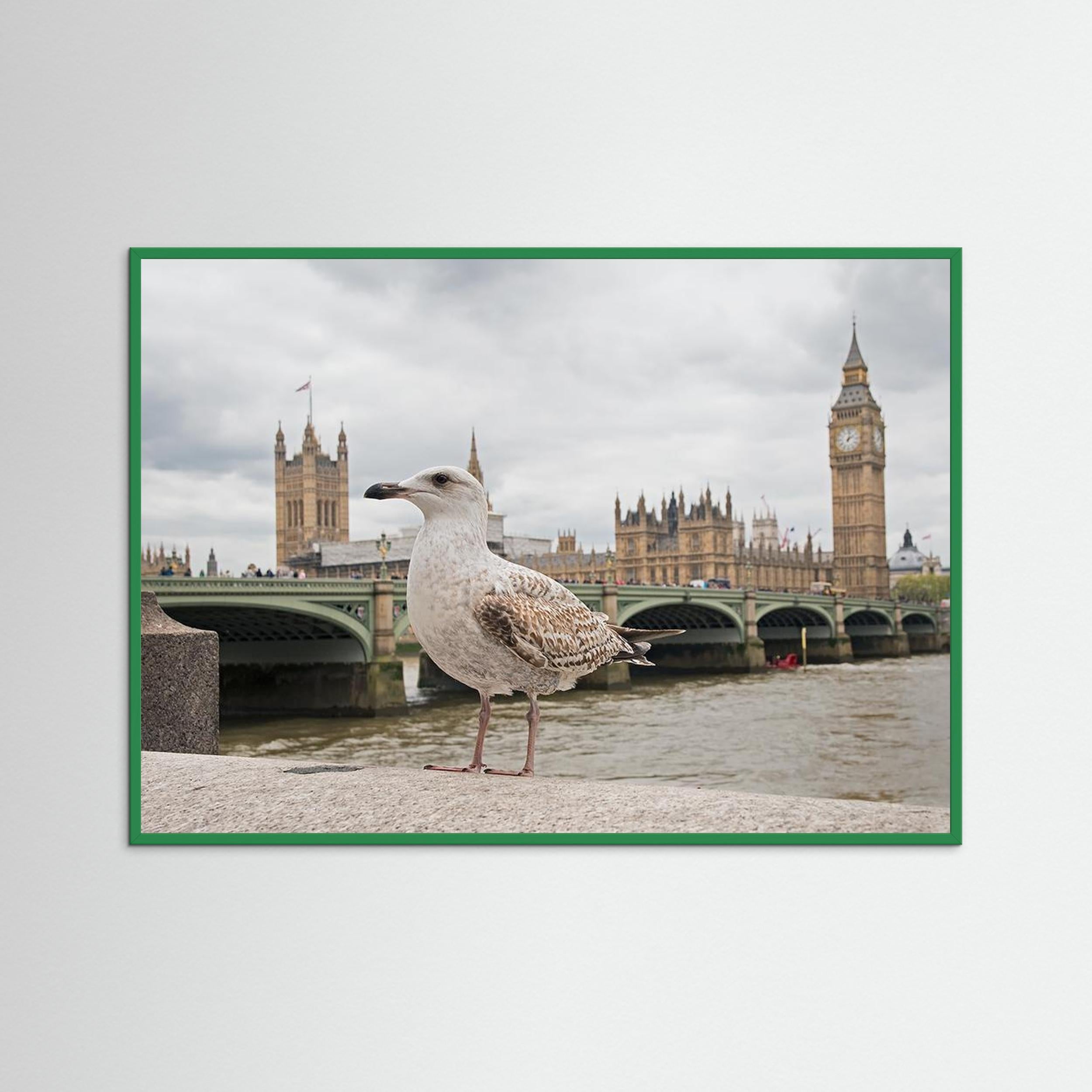 The Guardian by Marco Pozzi Fine Art Paper