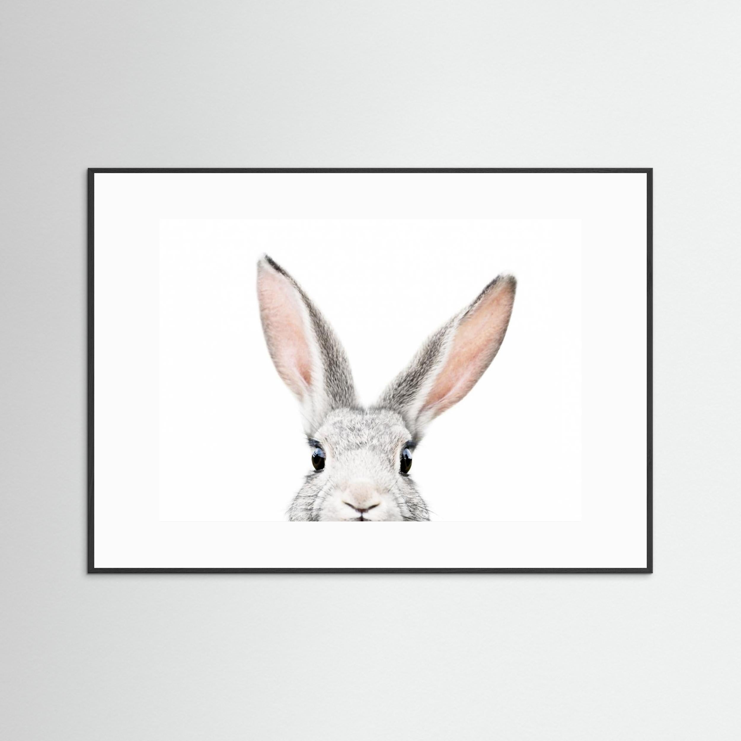 Peeking Bunny by Kathrin Pienaar Fine Art Paper 
