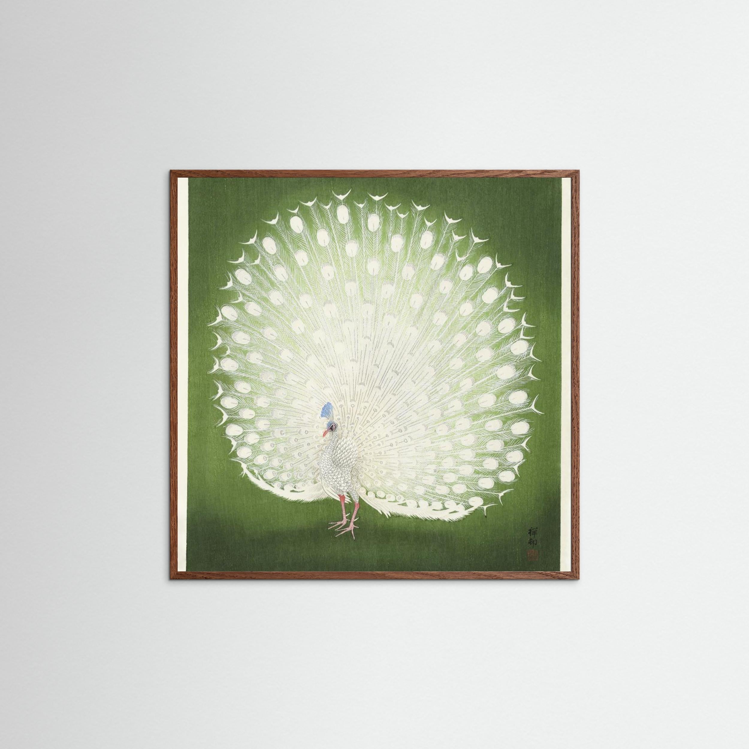 Peacock Fine Art Paper 