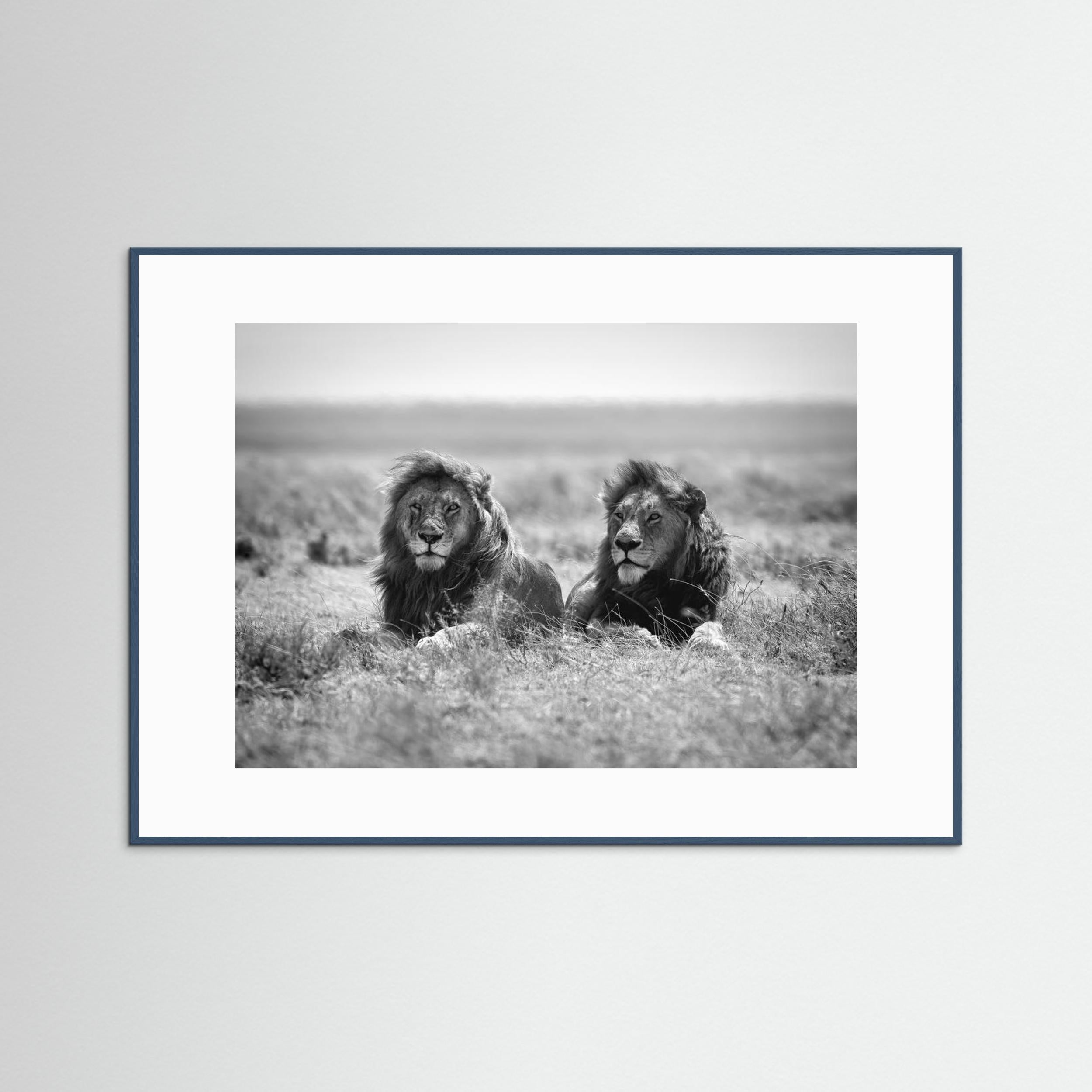 Two kings by Nicolás Merino Fine Art Paper 