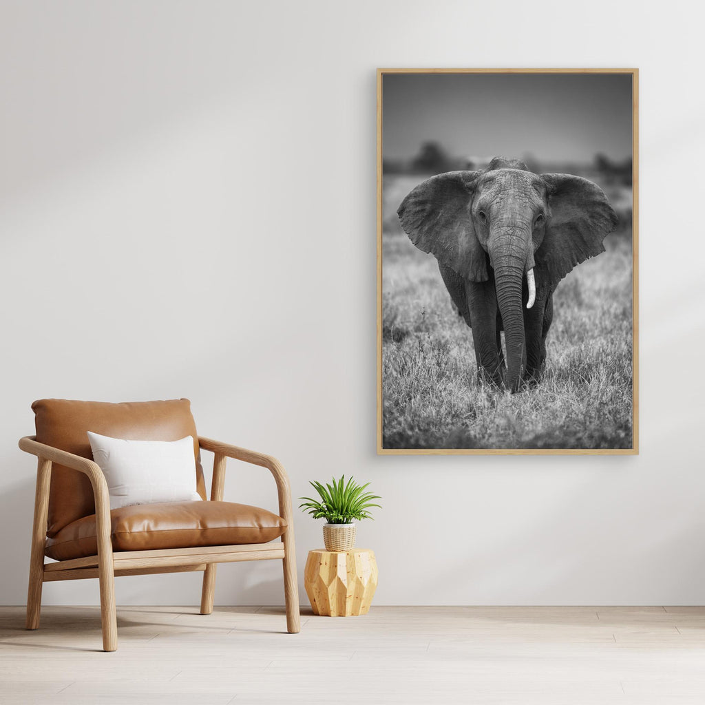 SINGULARITY by Jaco Marx Canvas