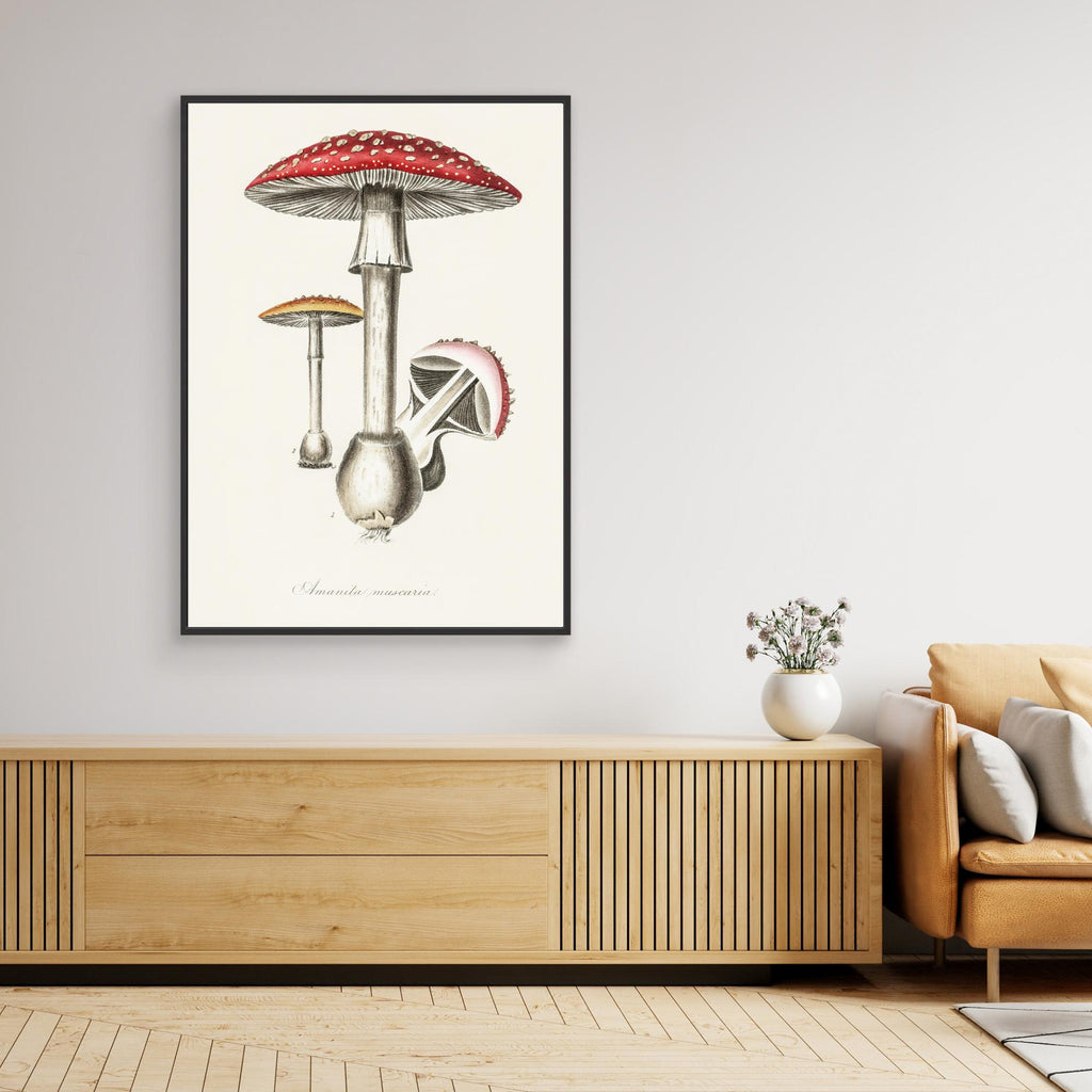 Amanita Muscaria Illustration. Medical Botany 1836 Canvas