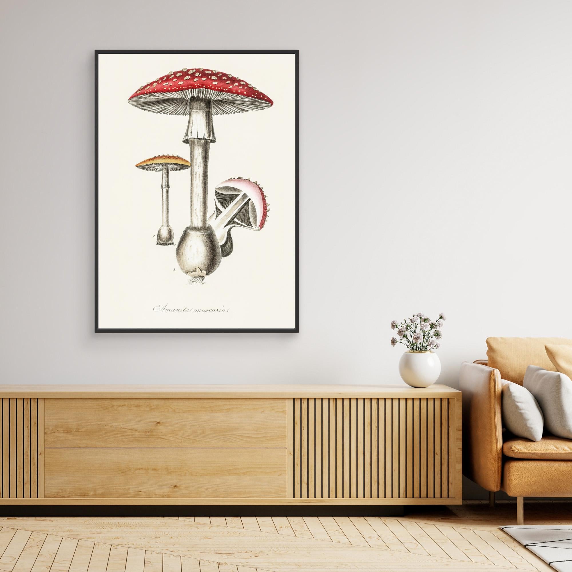 Amanita Muscaria Illustration. Medical Botany 1836 Canvas