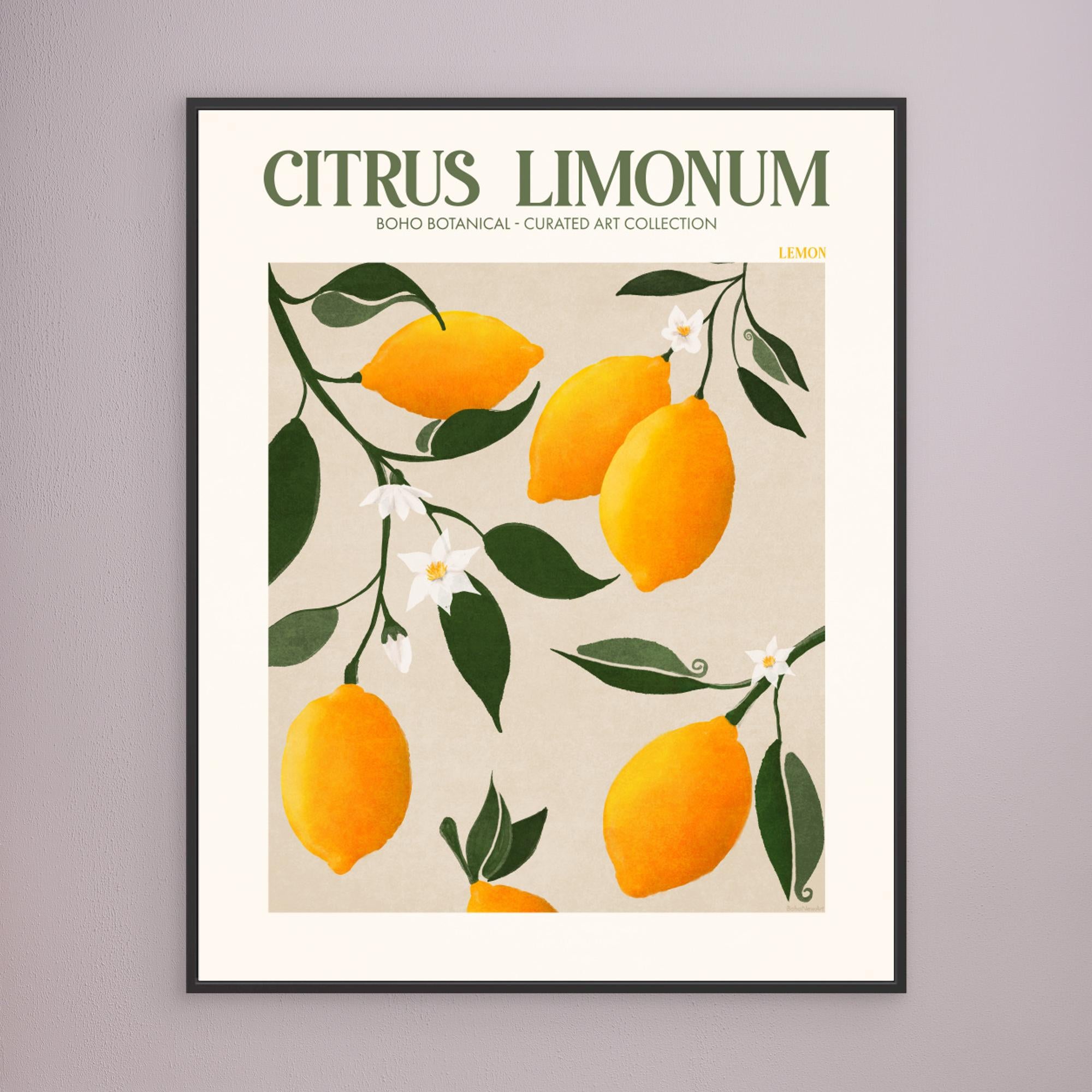 Citrus Limonum - Lemon by Emel Tunaboylu