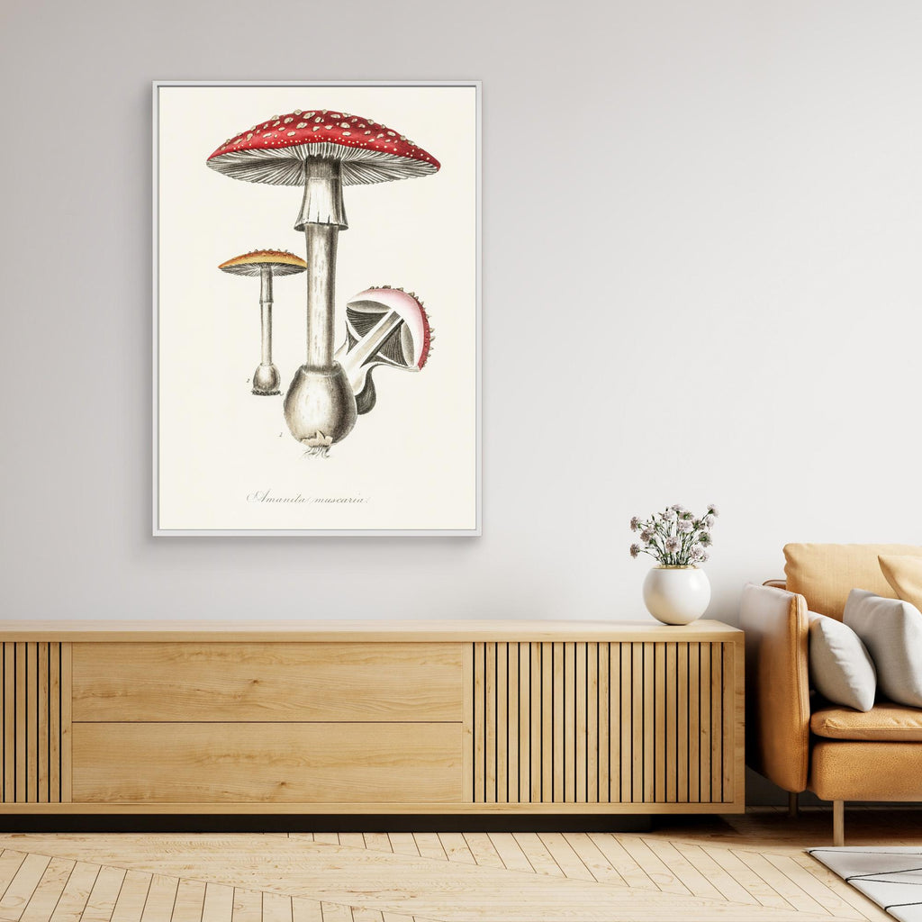 Amanita Muscaria Illustration. Medical Botany 1836 Canvas