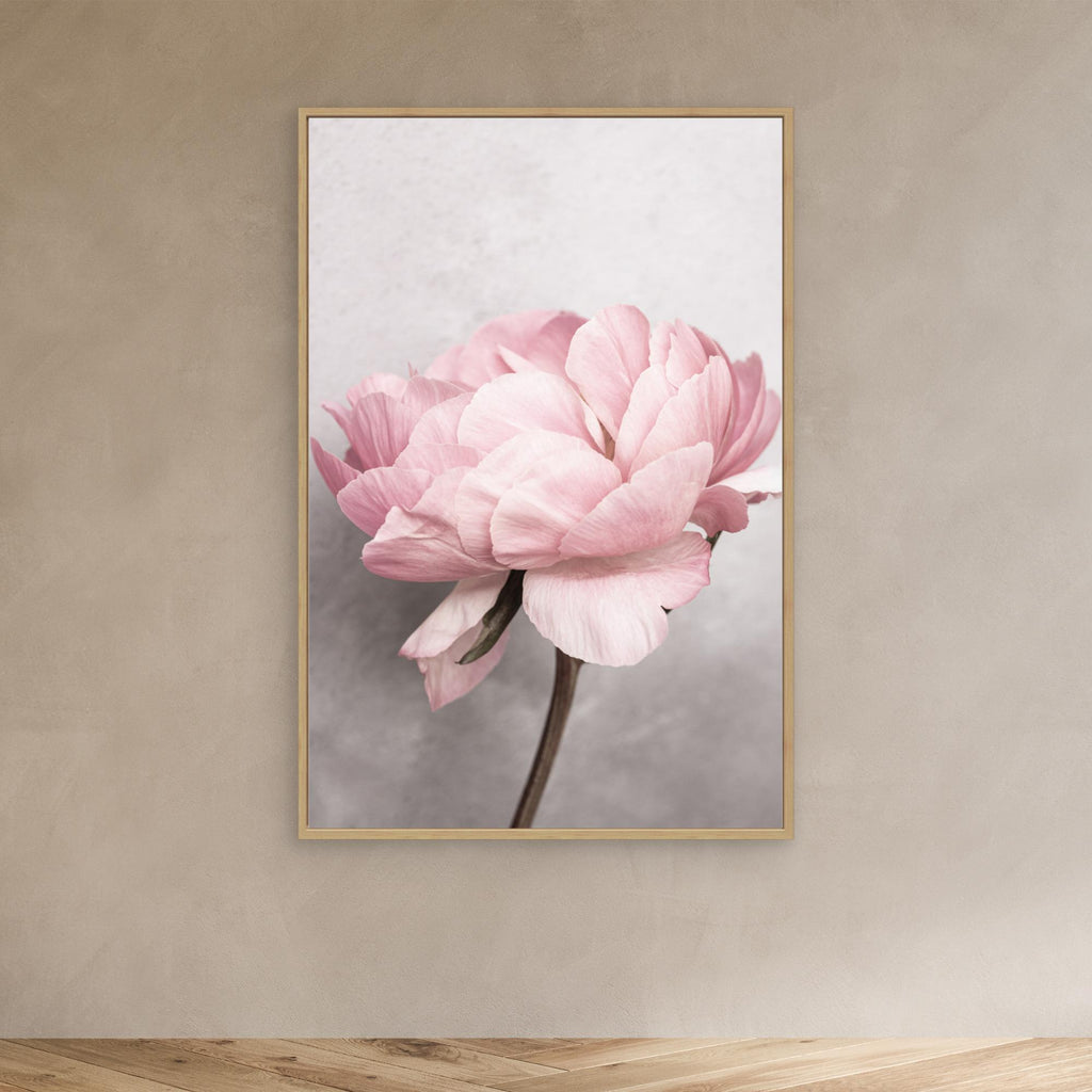 Peony by Kathrin Pienaar