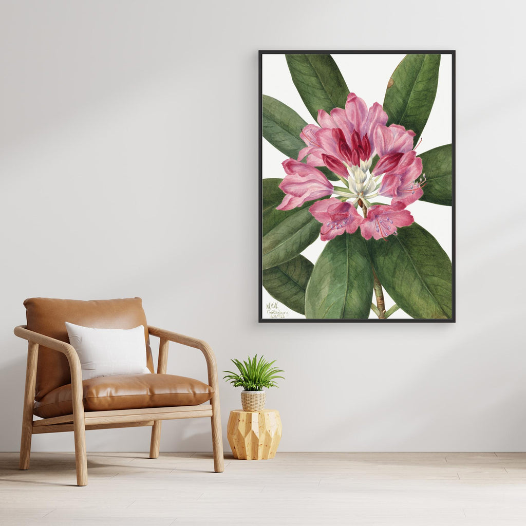 Mountain Rose Bay (1932) by Pictufy