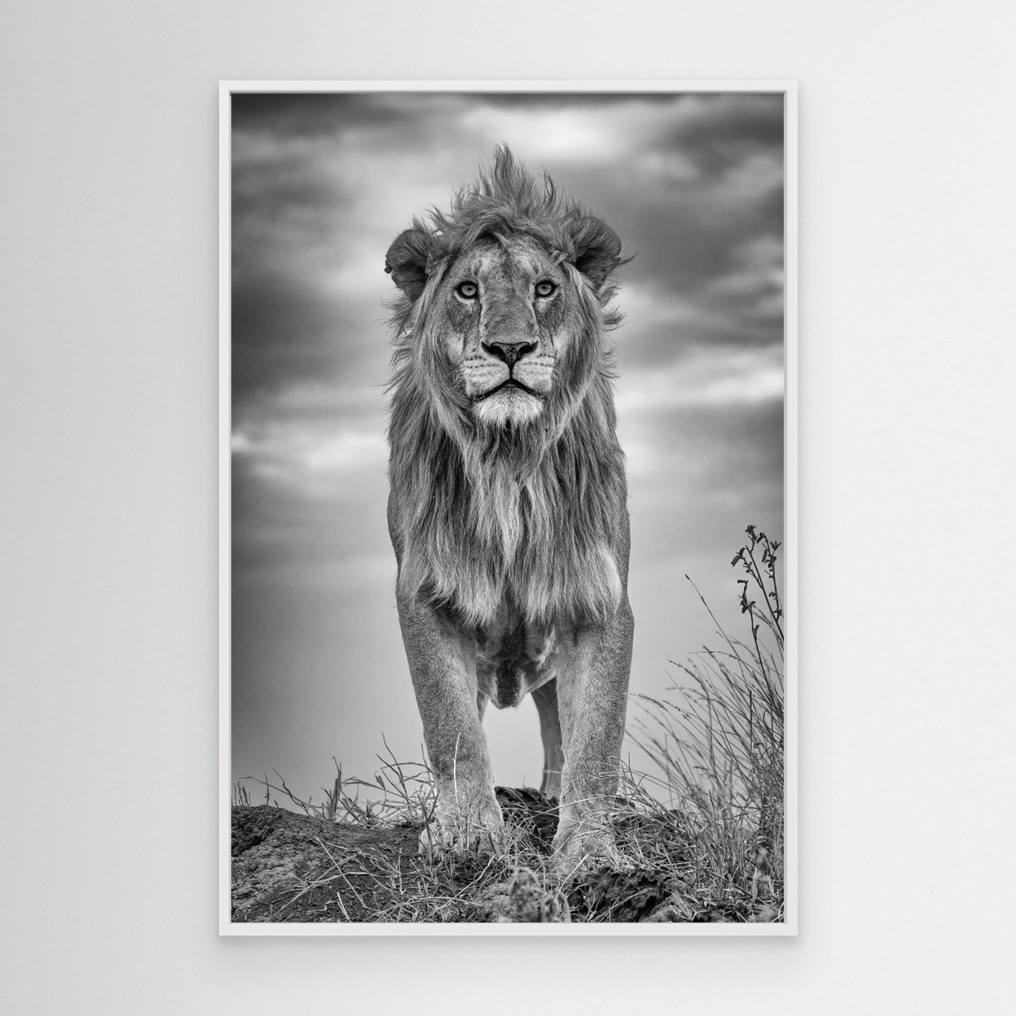 Encounter with the King by Ali Khataw Canvas