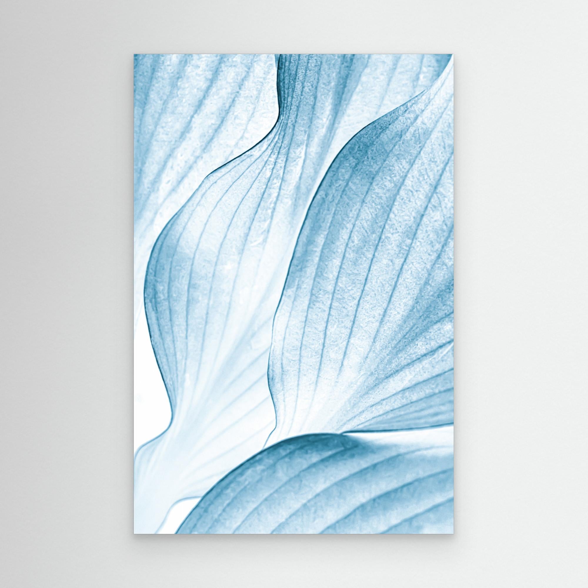 Icy Waves by Beth Buelow Canvas