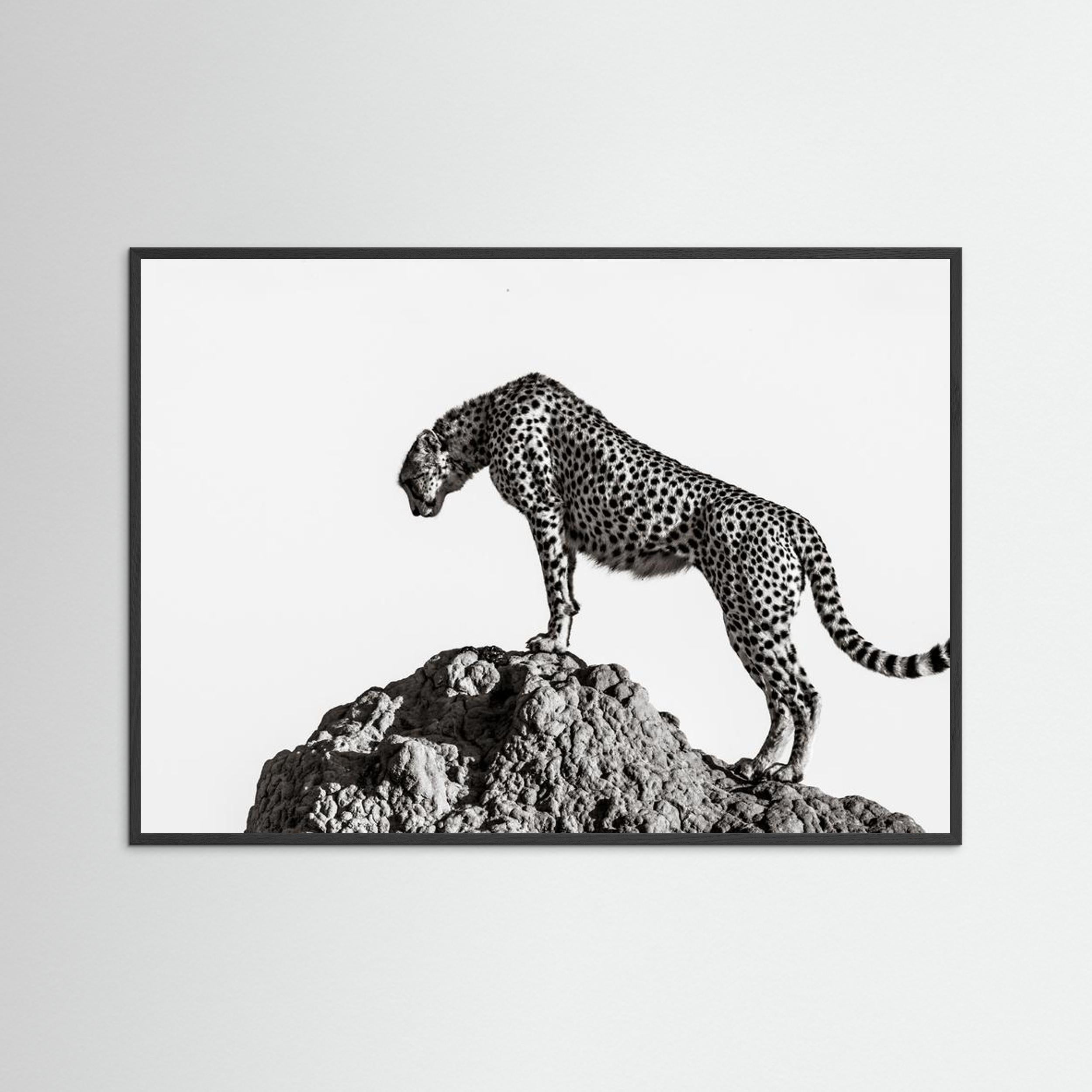 the hunter by Ali Fine Art Paper 