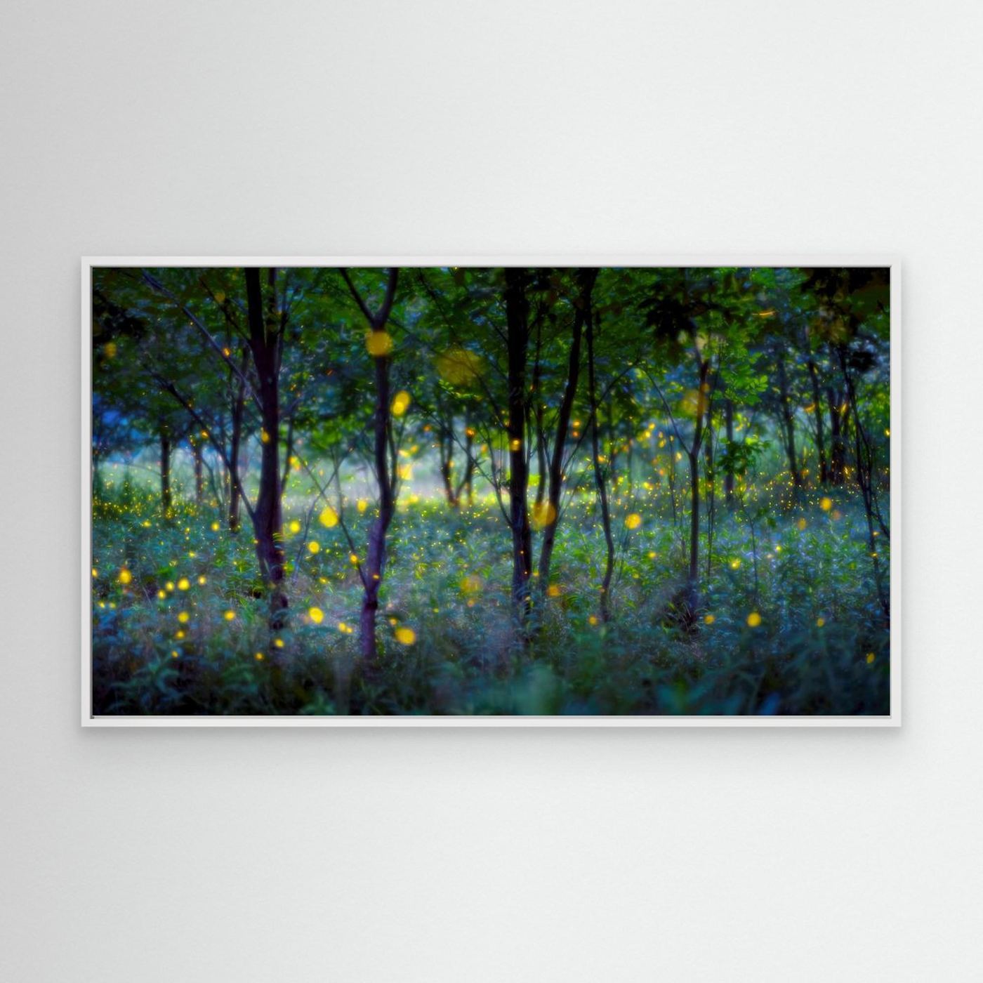 Magic fireflies by Hua Zhu Canvas