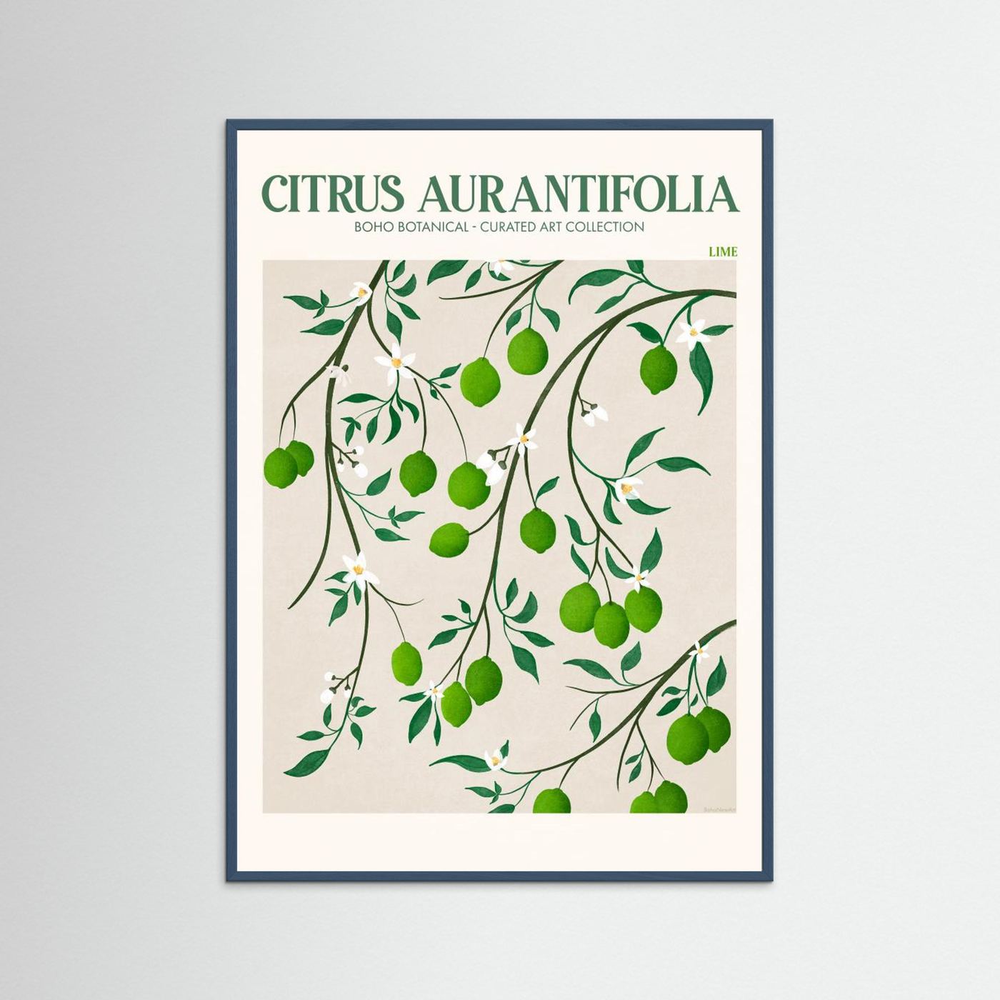 Citrus Aurantifolia - Lime by Emel Tunaboylu Fine Art Paper