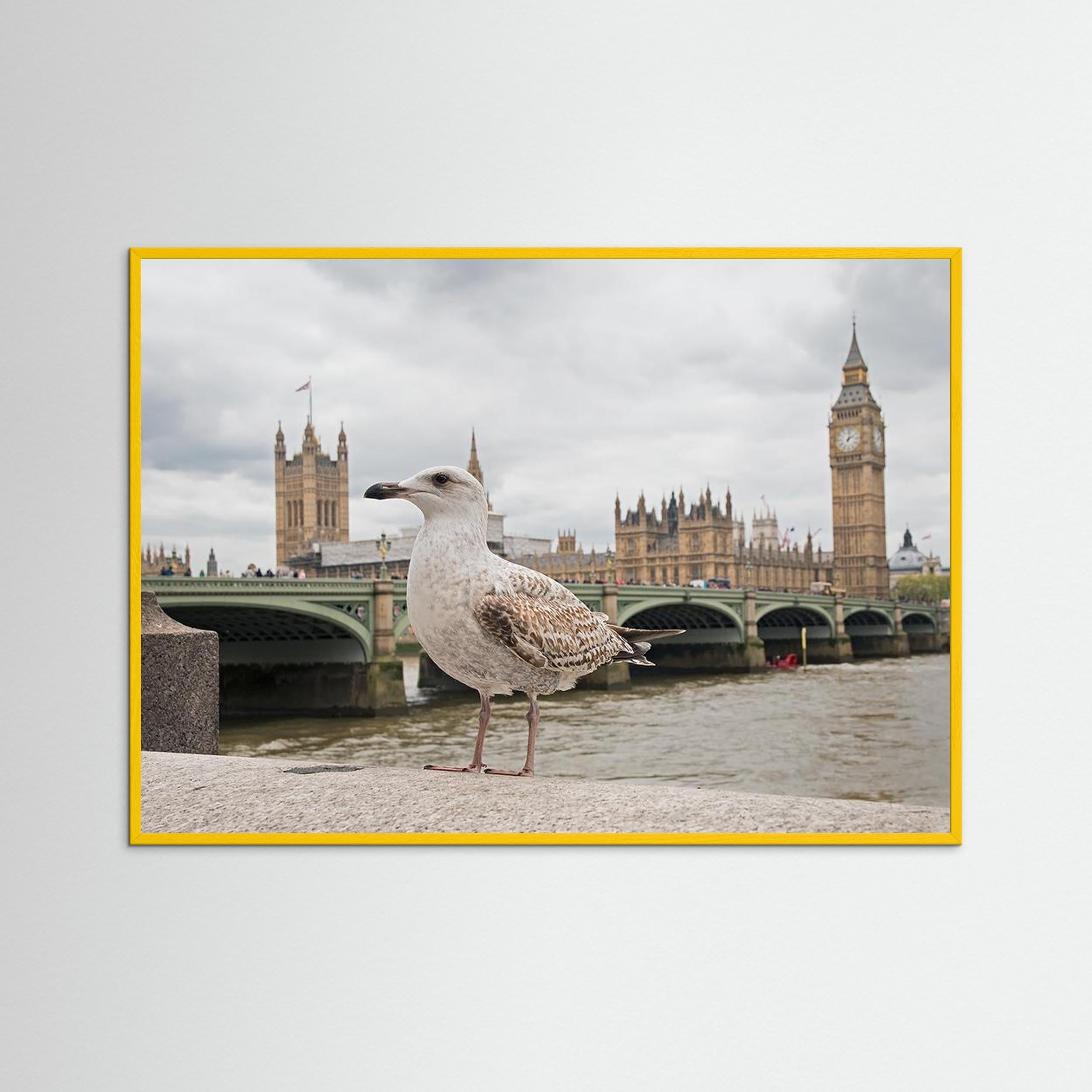 The Guardian by Marco Pozzi Fine Art Paper