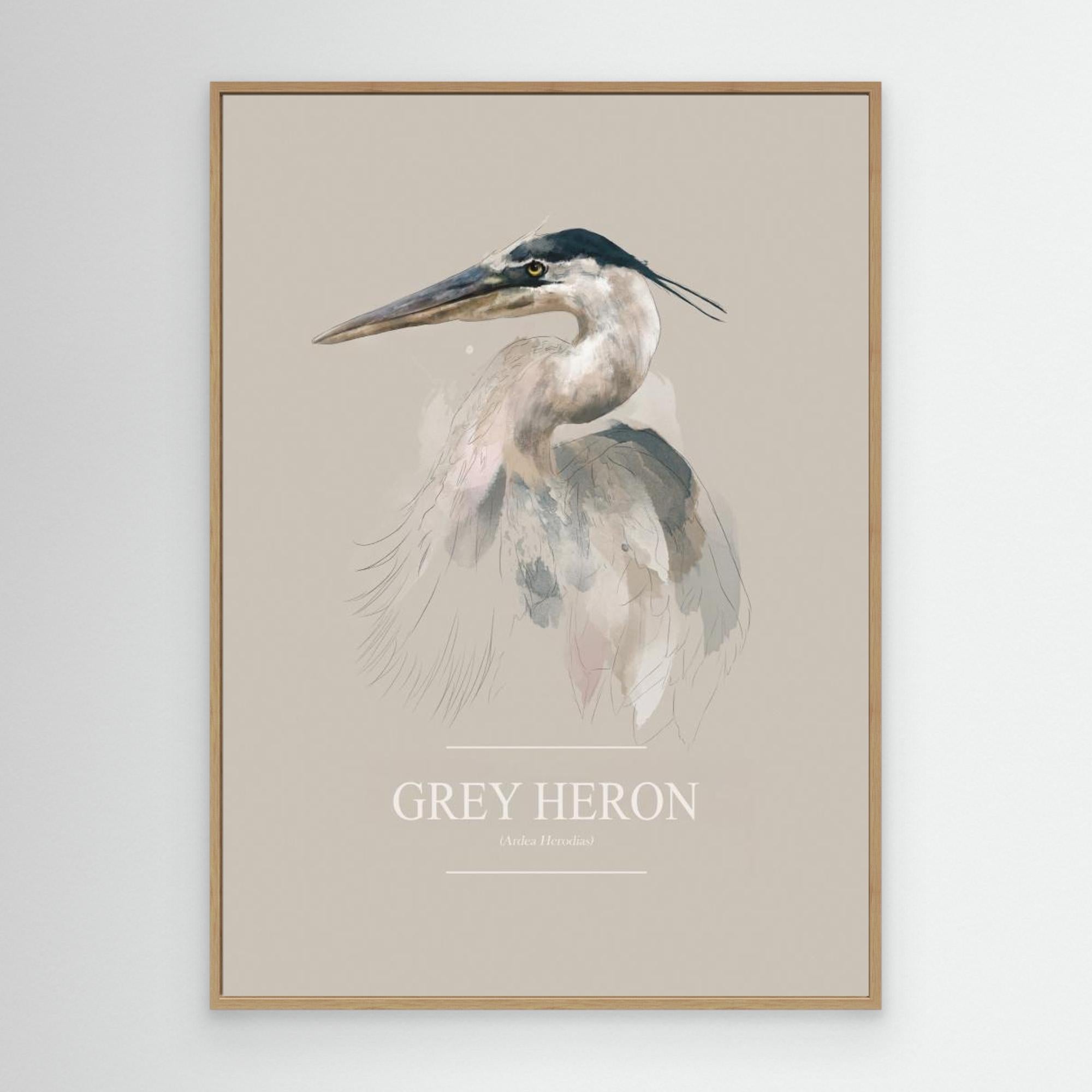 Grey Heron by Gabriella Roberg Canvas