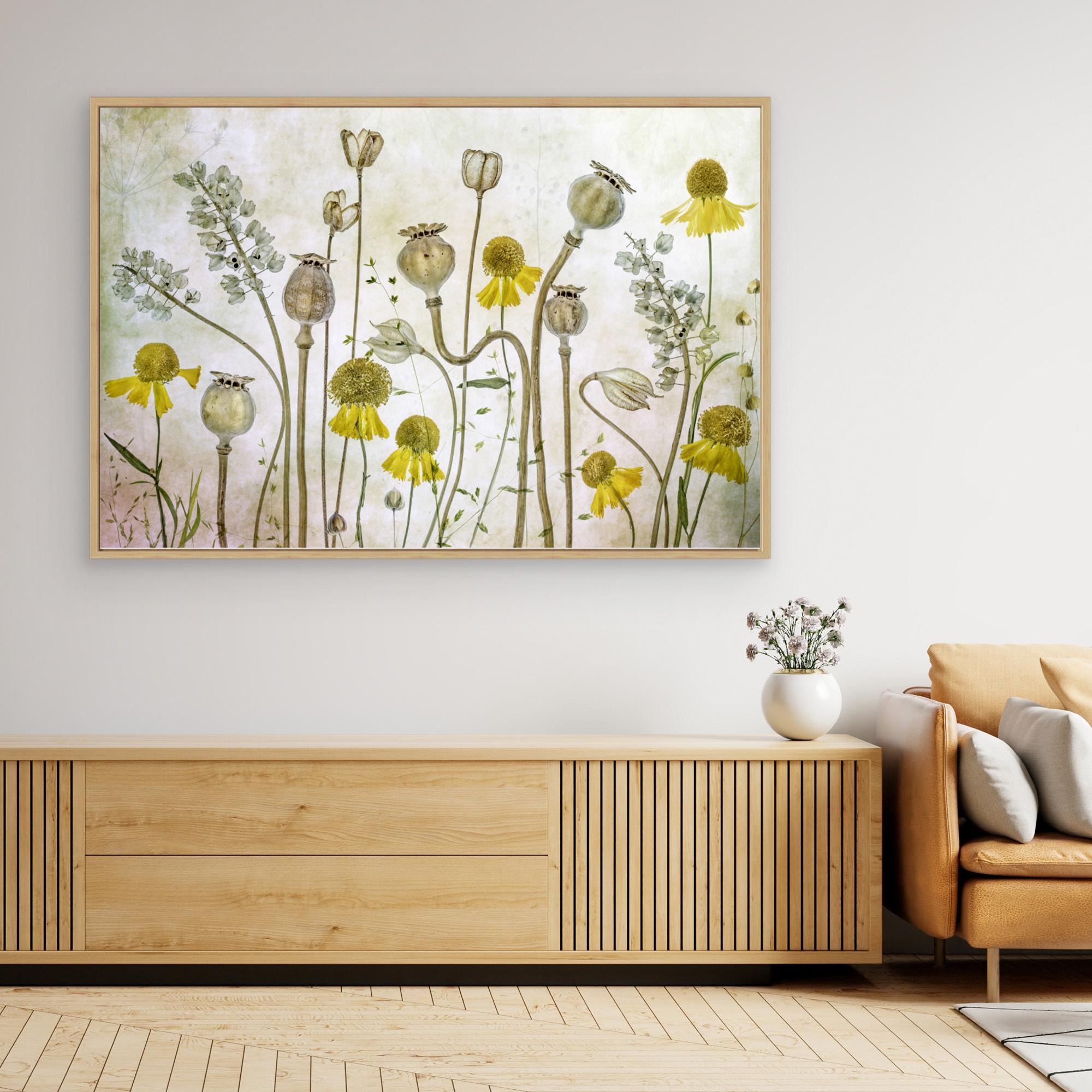 Poppies and Helenium by Mandy Disher