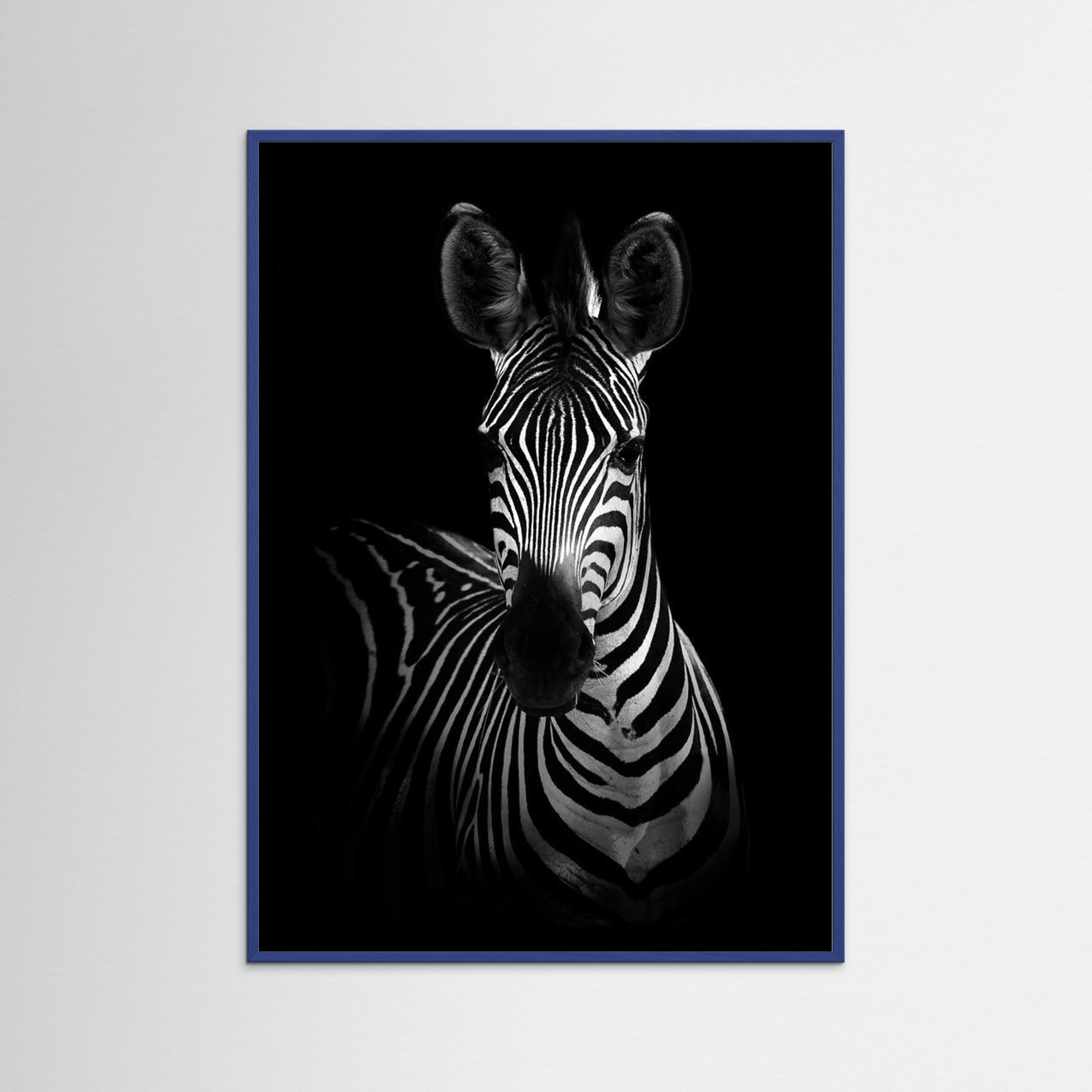 The Zebra by Wild Photo Art Fine Art Paper