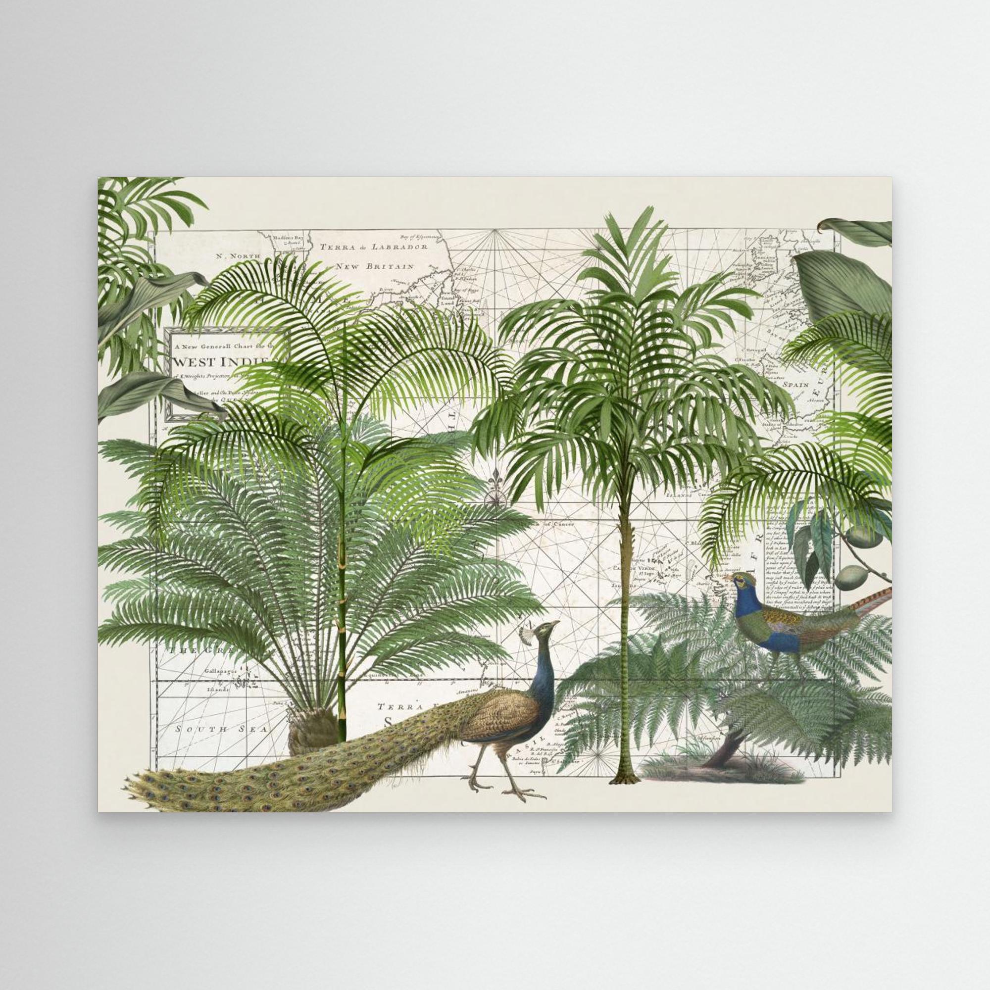 Tropical Empire No6 by Andrea Haase Canvas