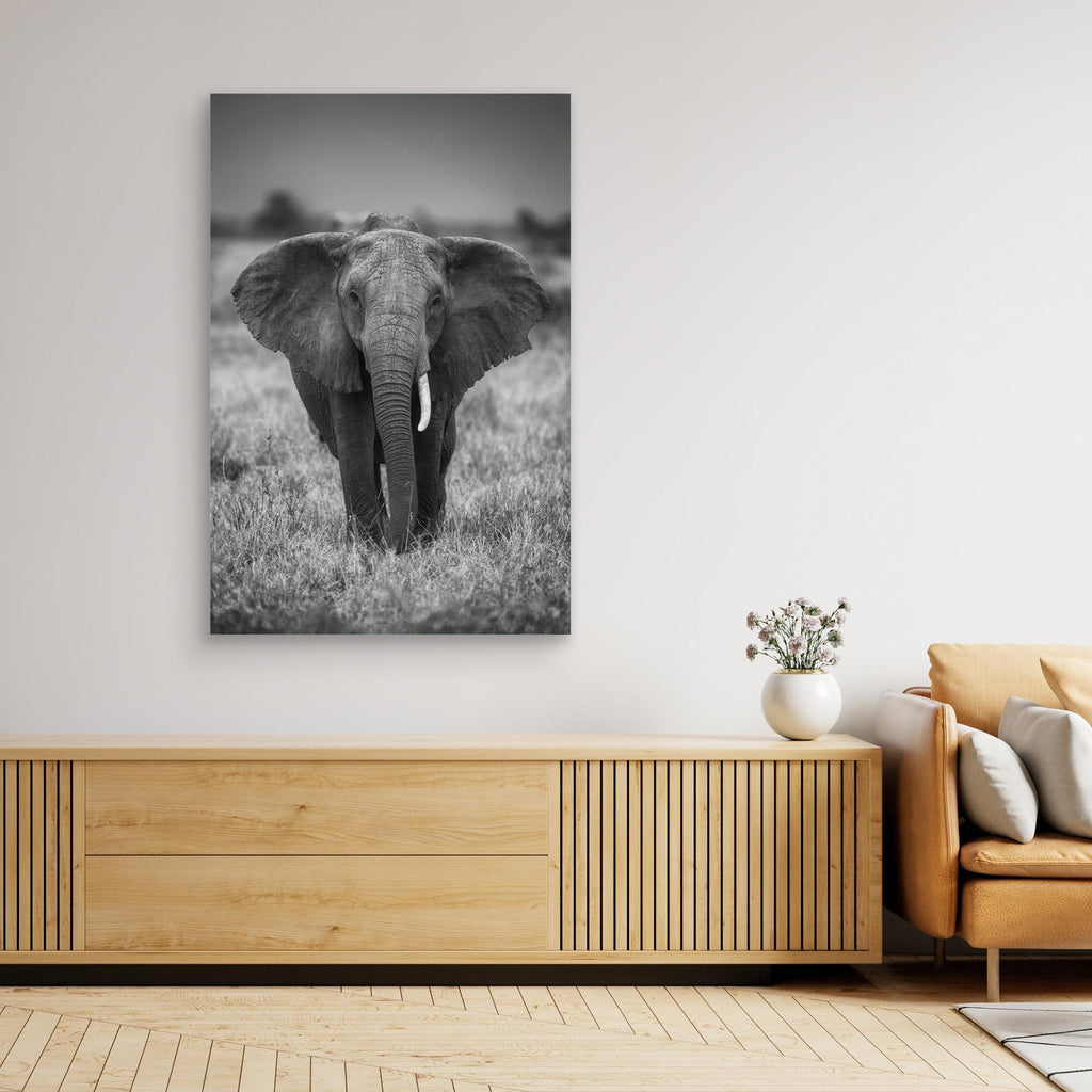 SINGULARITY by Jaco Marx Canvas